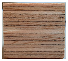 Applsci 13 00925 i001