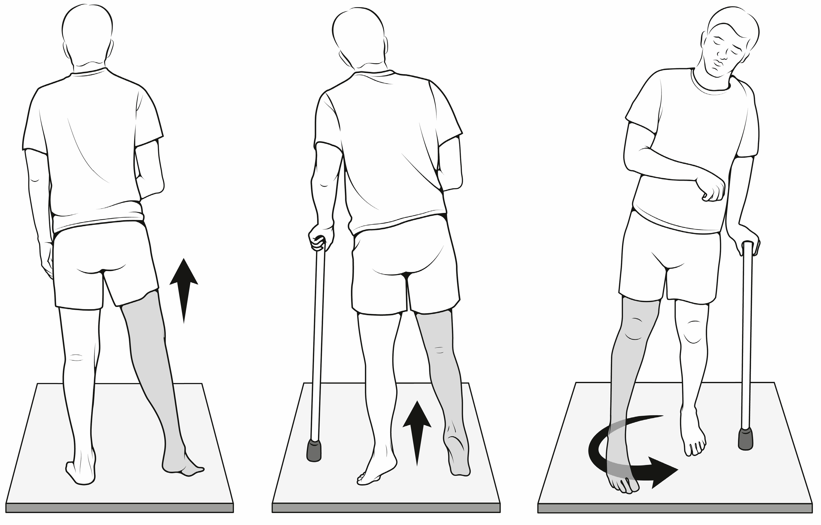 Applied Sciences | Free Full-Text | The Relationship between Gait ...