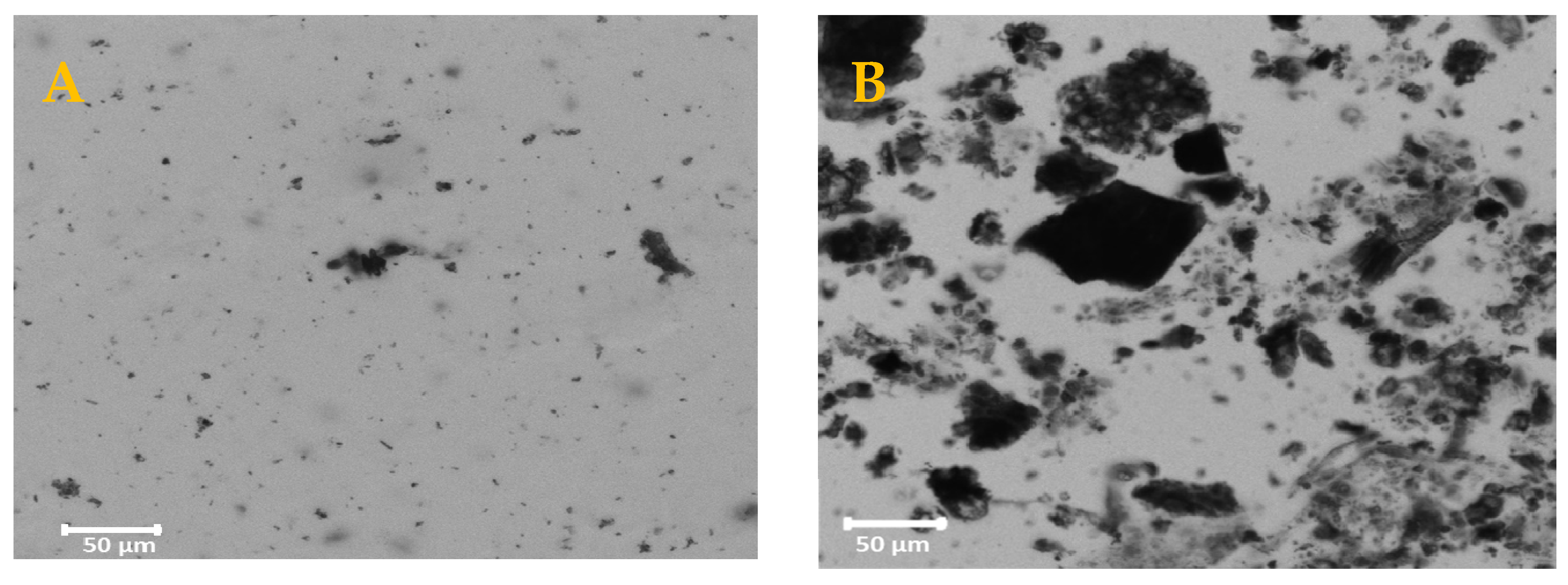 Applsci 13 00975 g002 Applsci 13 00975 g002