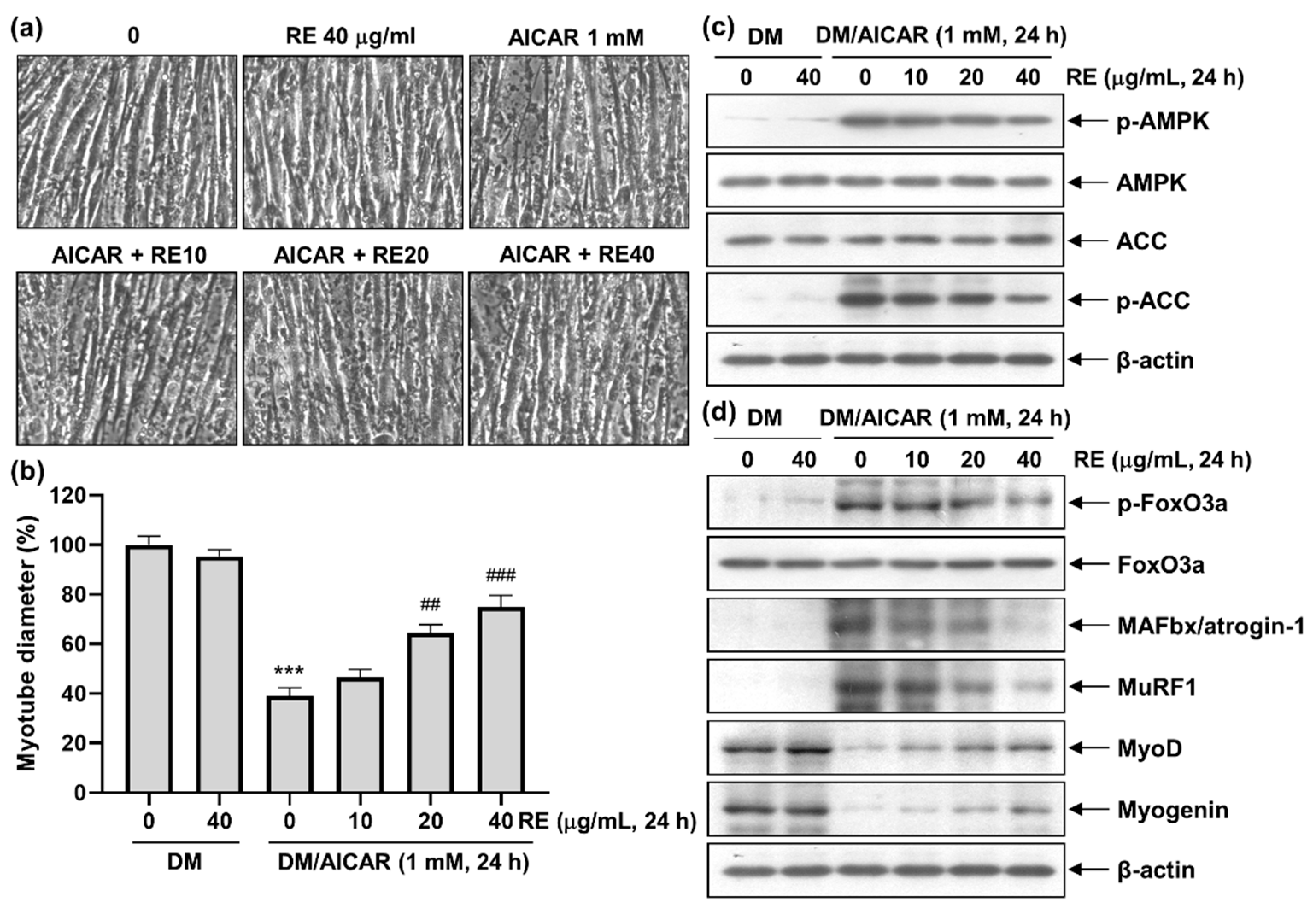 Applsci 13 00986 g005 Applsci 13 00986 g005