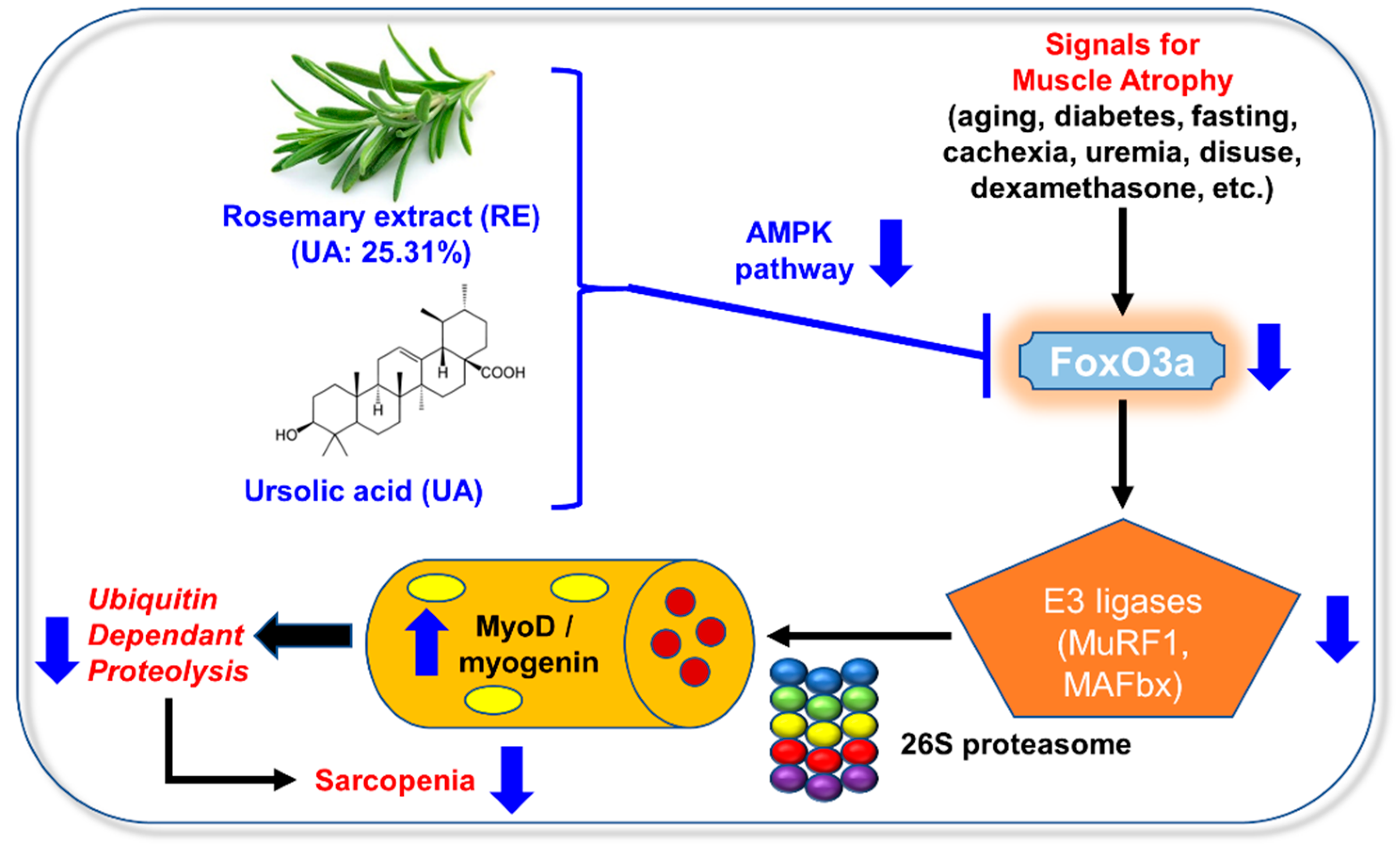 Applsci 13 00986 g006 Applsci 13 00986 g006