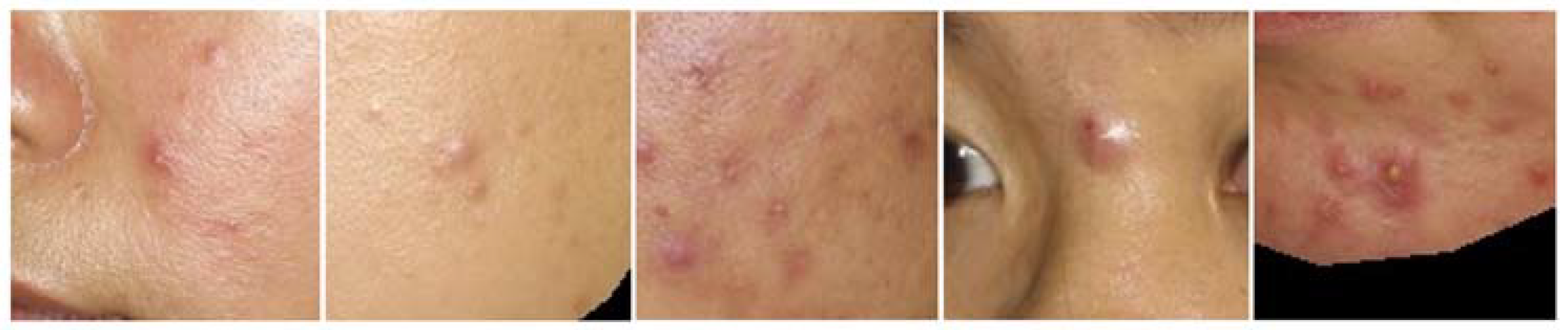 Applsci 13 00989 g002 Applsci 13 00989 g002