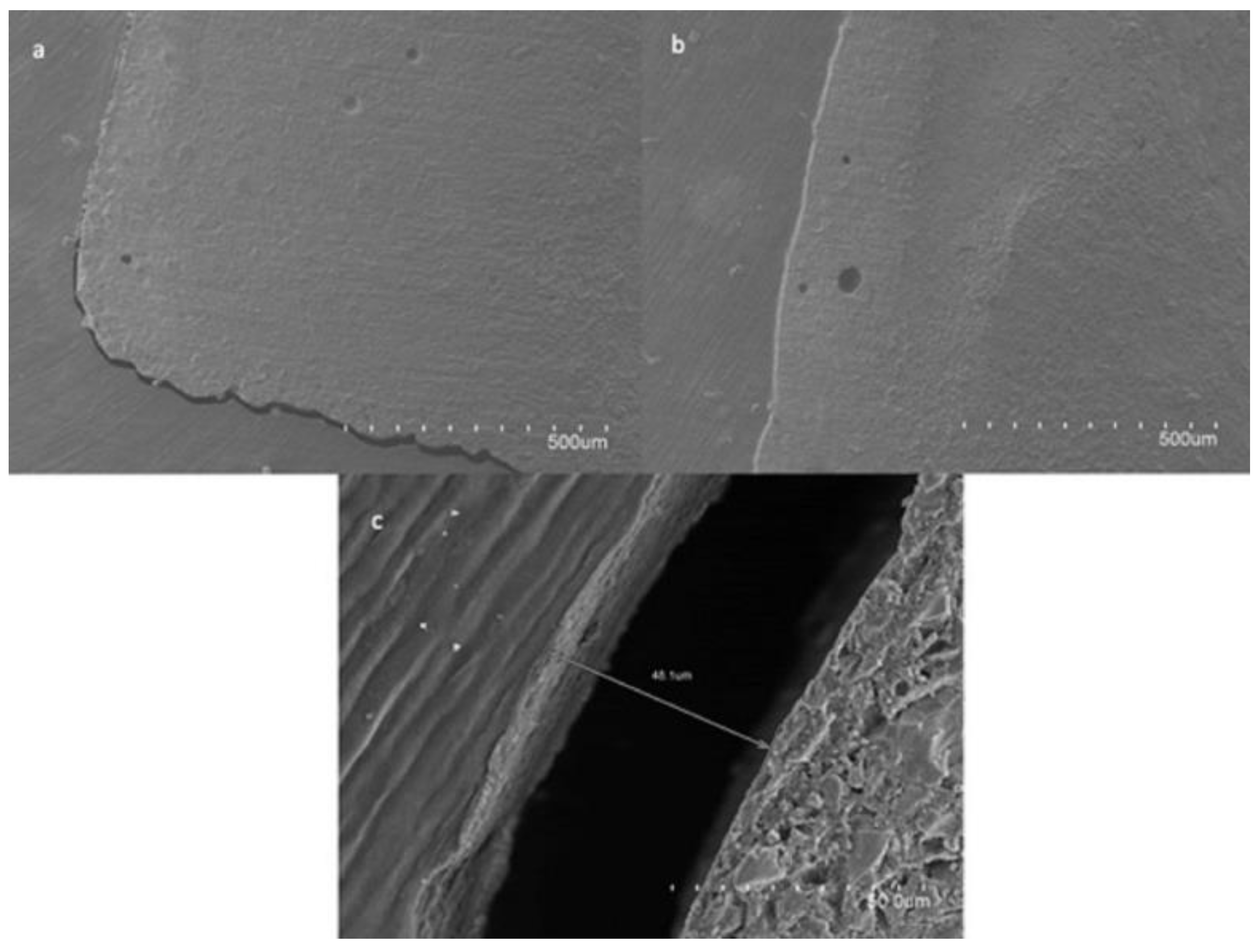 Applsci 13 00991 g002