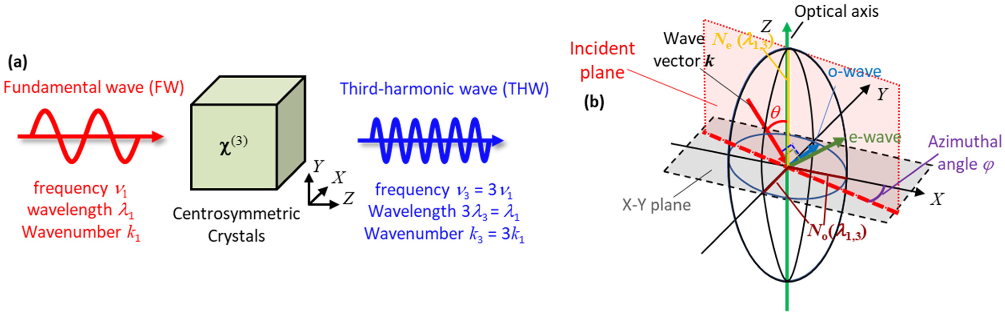 Applsci 13 00996 g001 Applsci 13 00996 g001