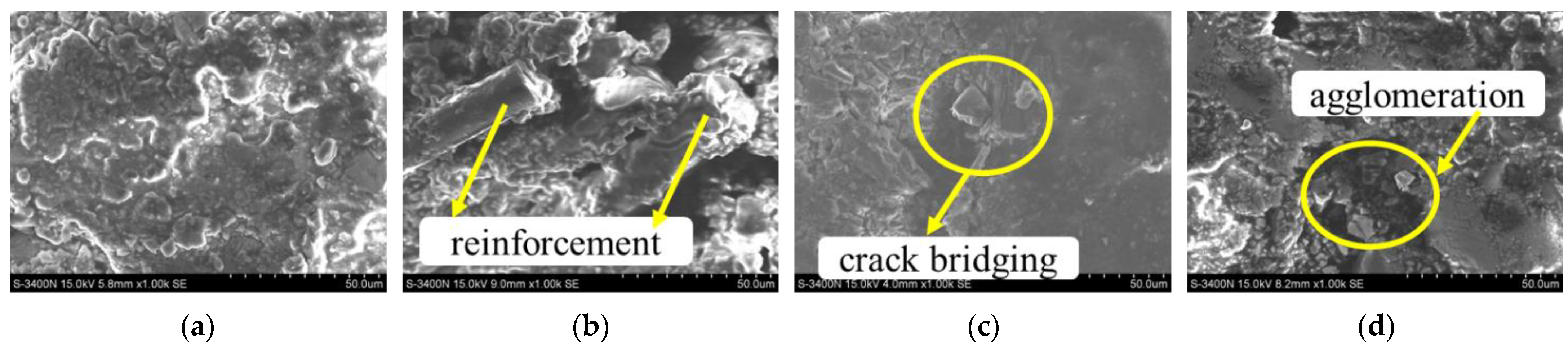 Applsci 13 00999 g015 Applsci 13 00999 g015