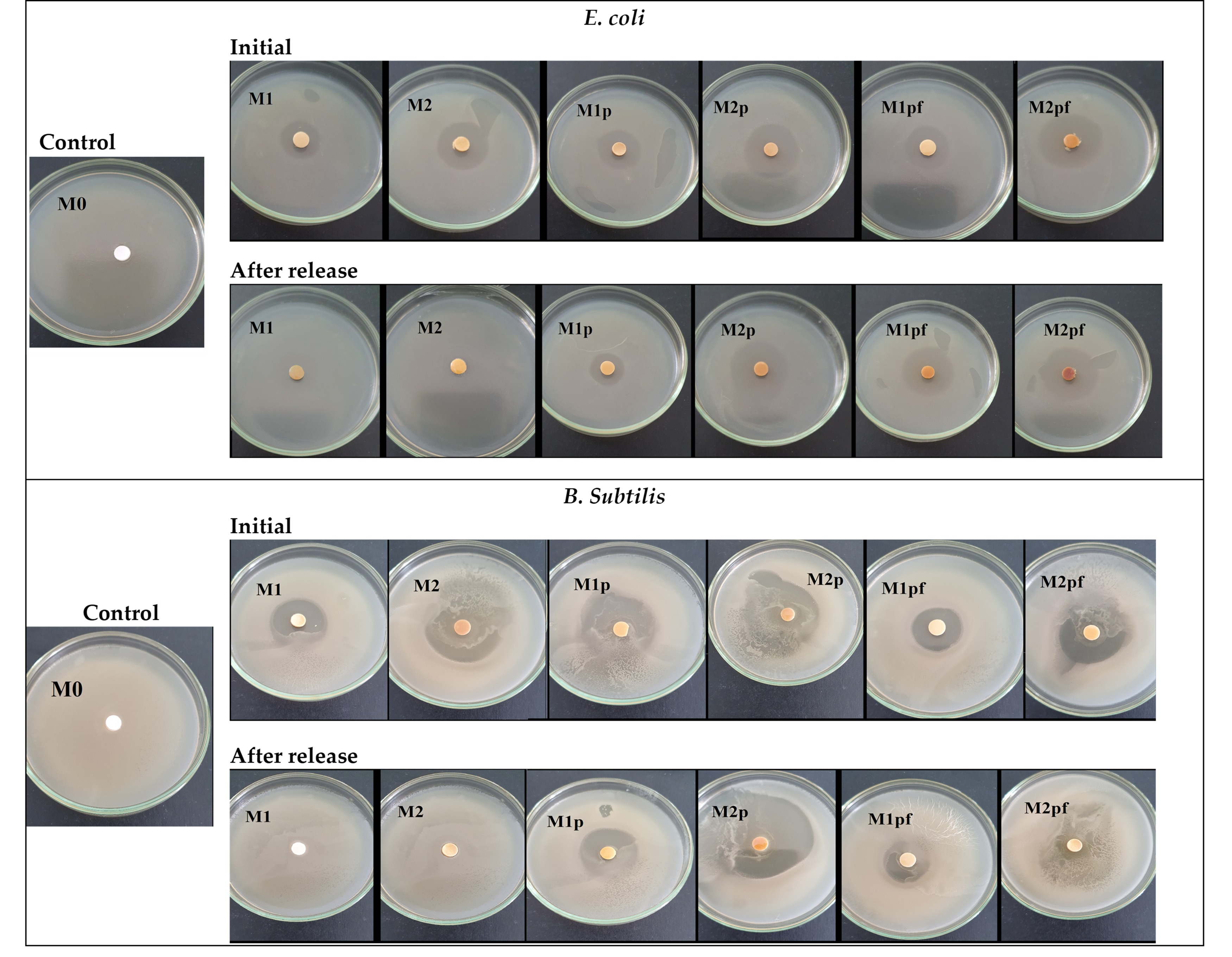 Applsci 13 01015 g004