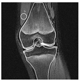 Applsci 13 01024 i009