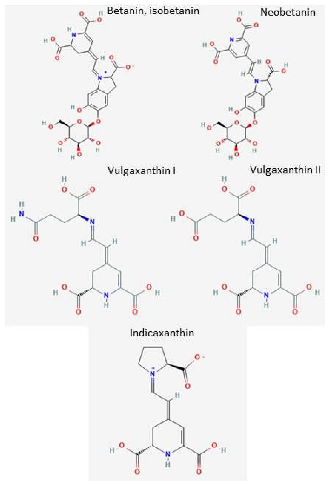 Applsci 13 01044 g001 Applsci 13 01044 g001