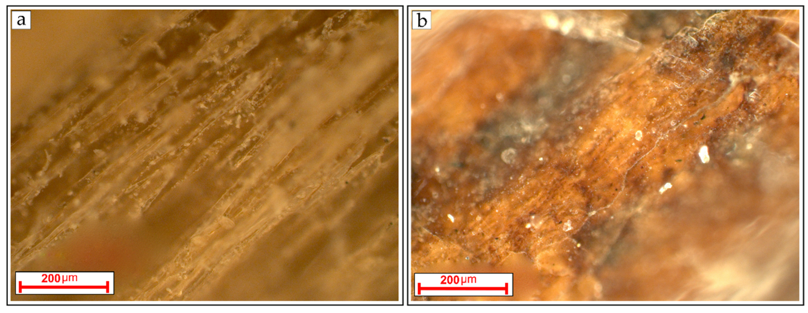 Applsci 13 01048 g004