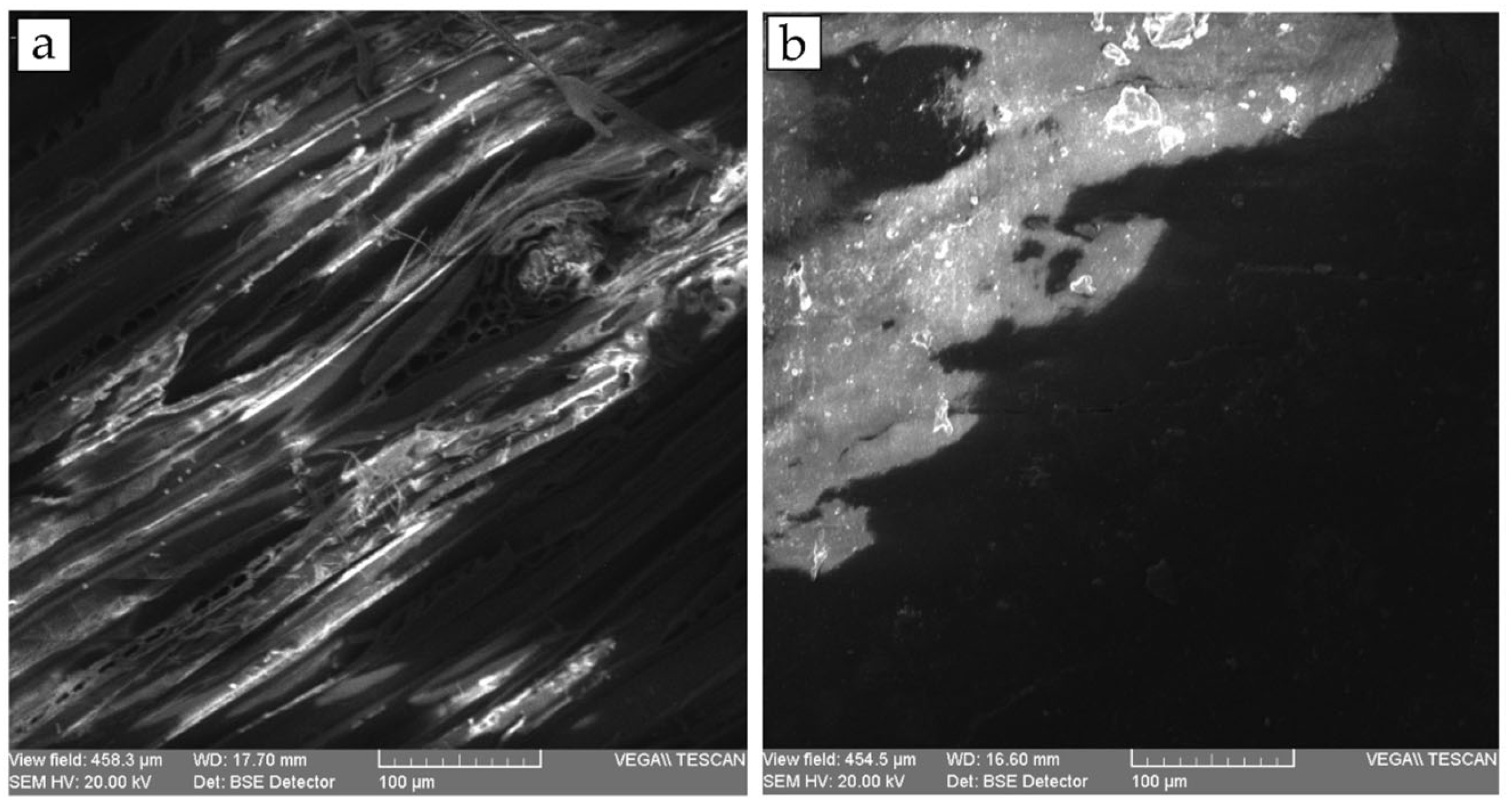 Applsci 13 01048 g005