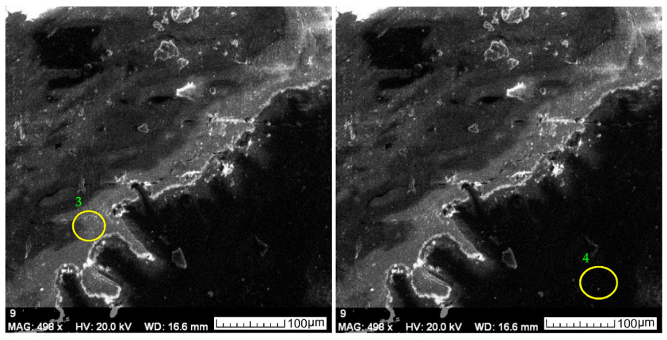 Applsci 13 01048 g007