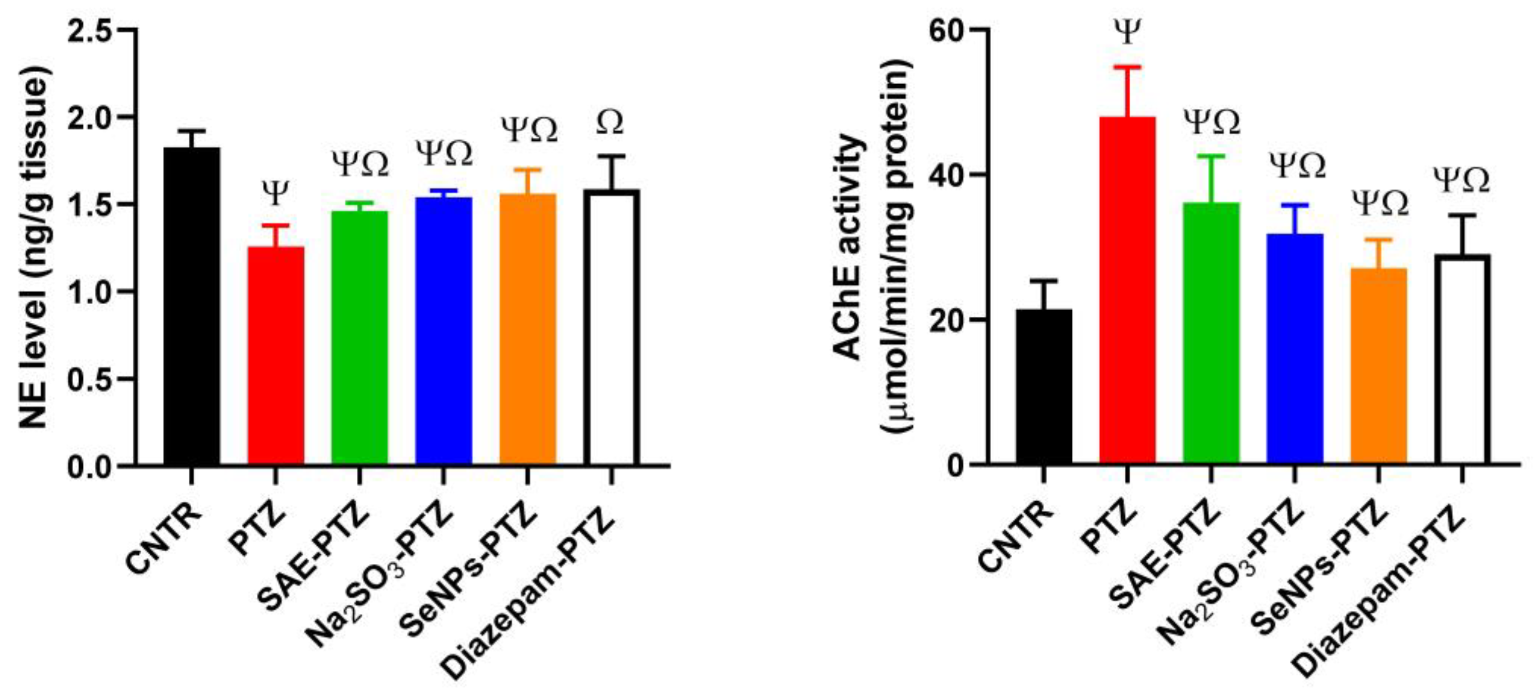 Applsci 13 01050 g007