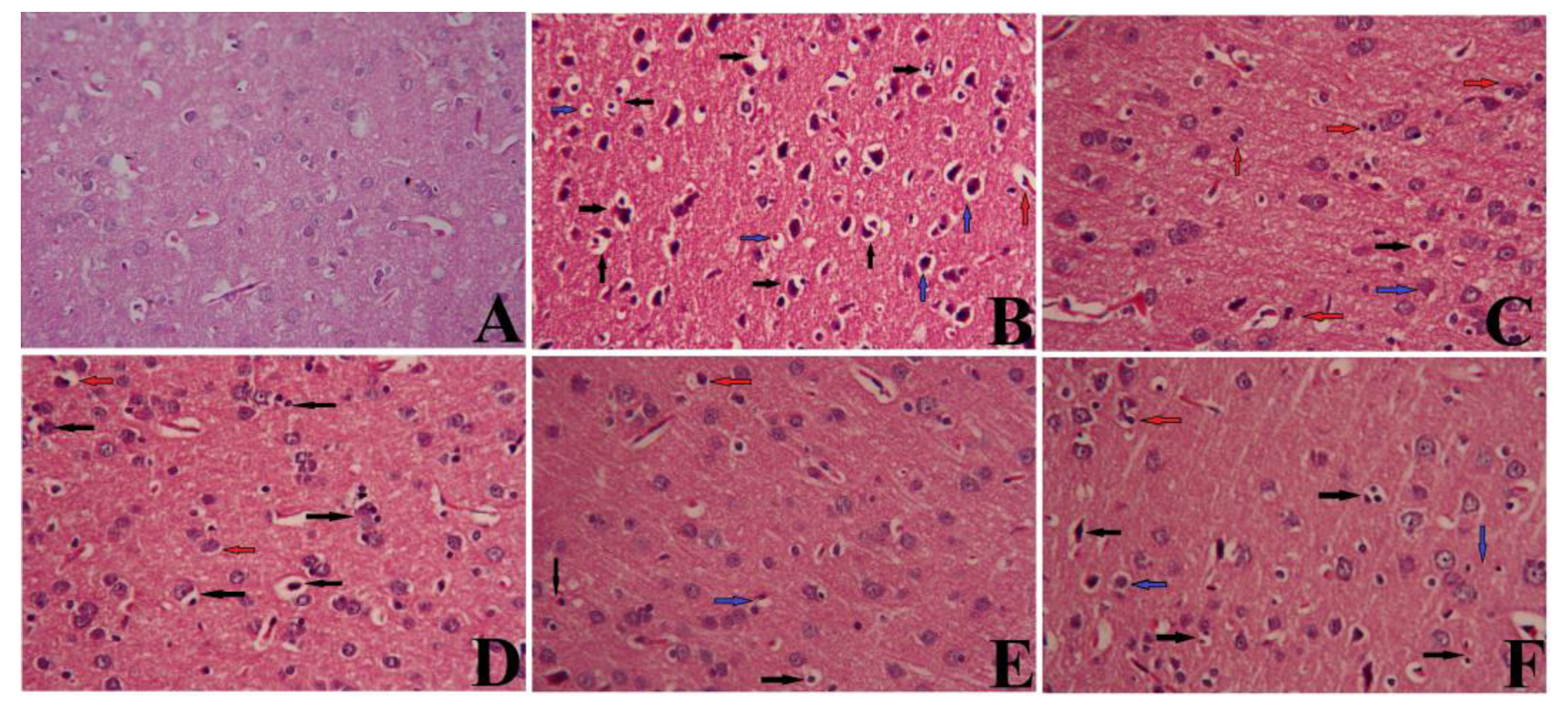 Applsci 13 01050 g008