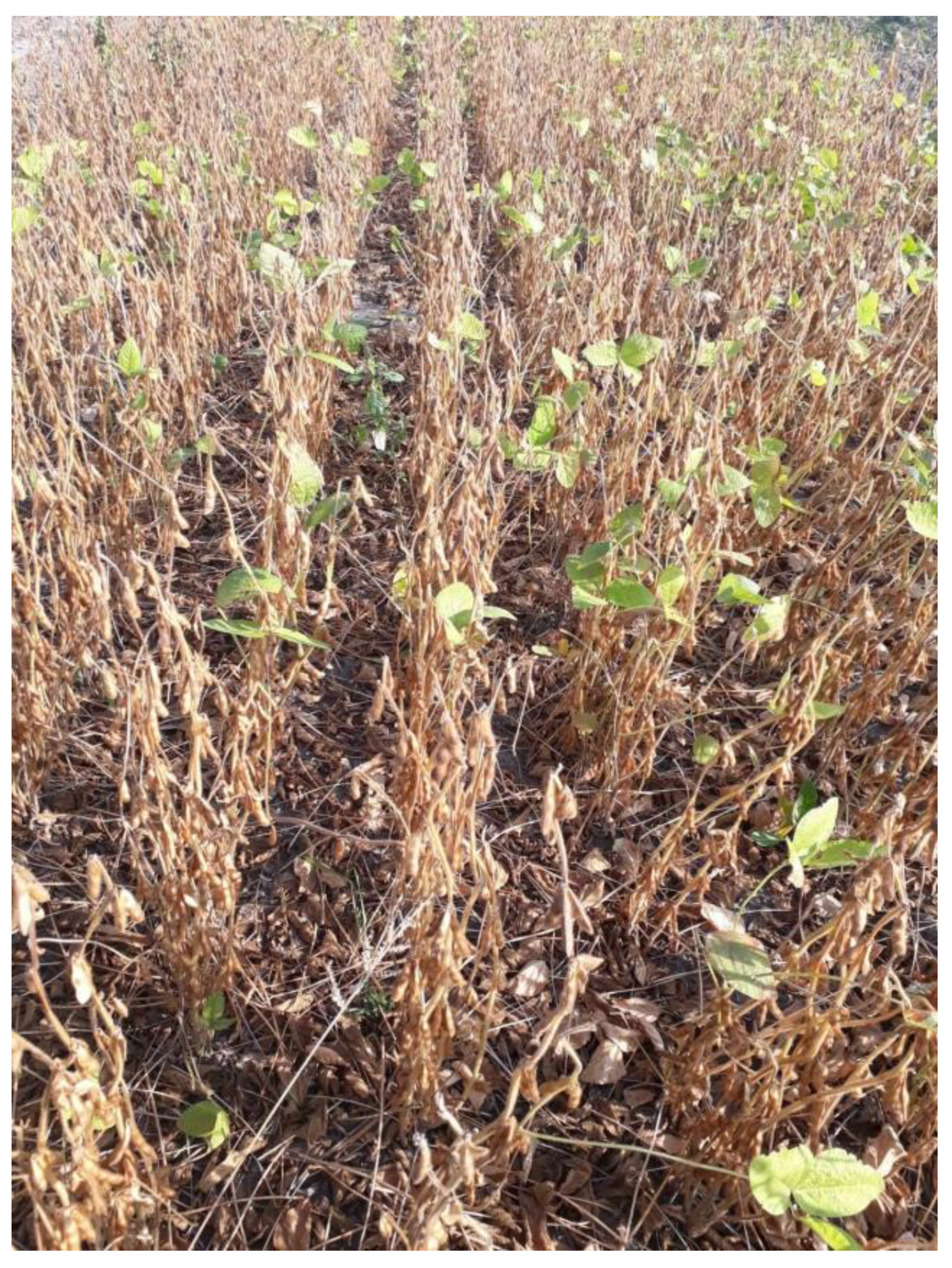 Applsci 13 01051 g002