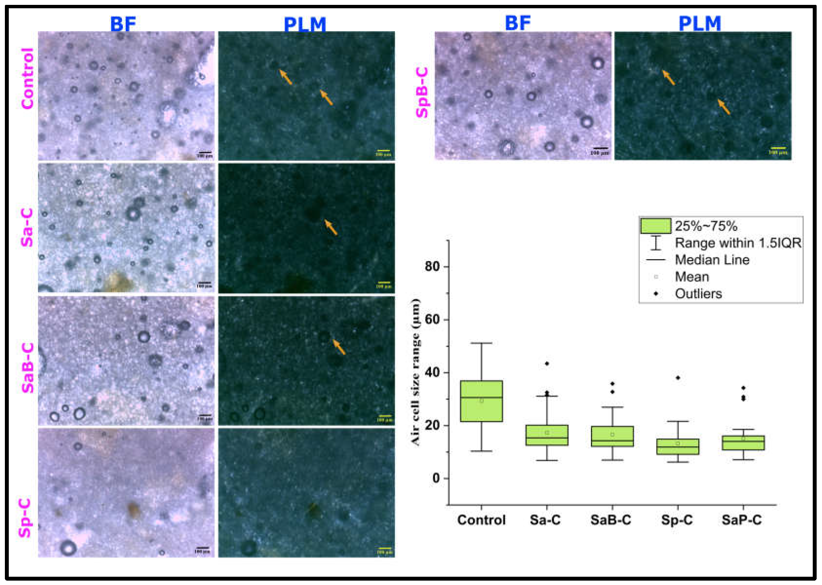 Applsci 13 01063 g002