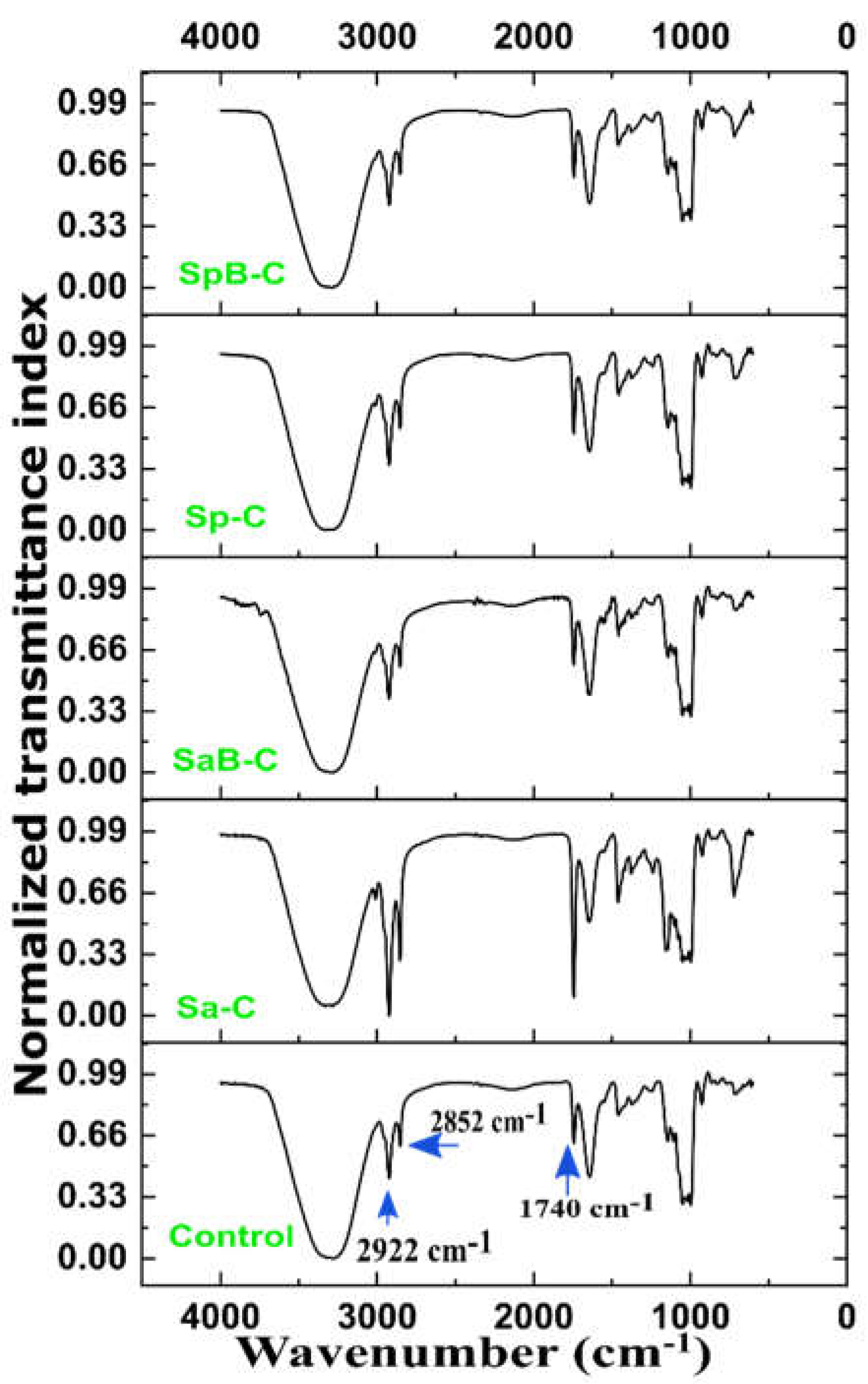 Applsci 13 01063 g004