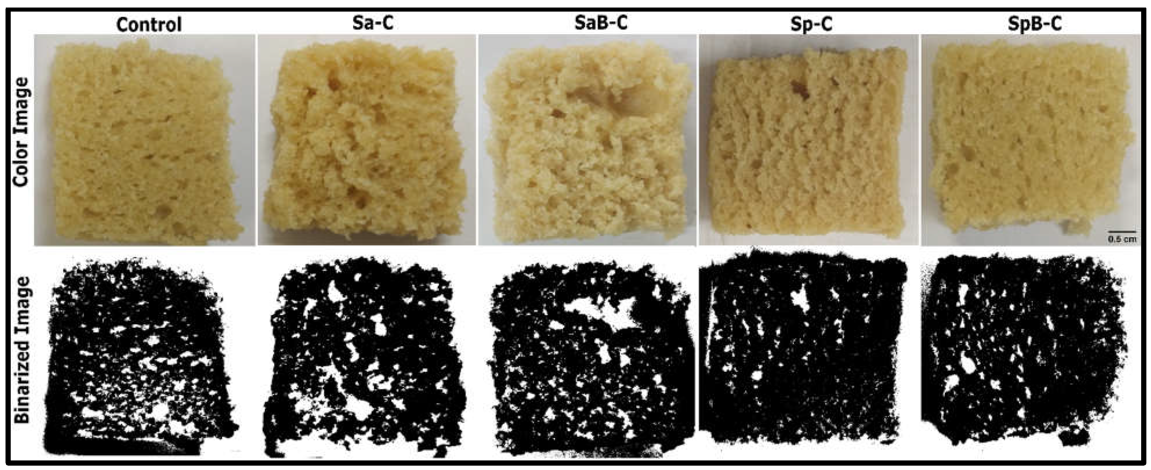 Applsci 13 01063 g006
