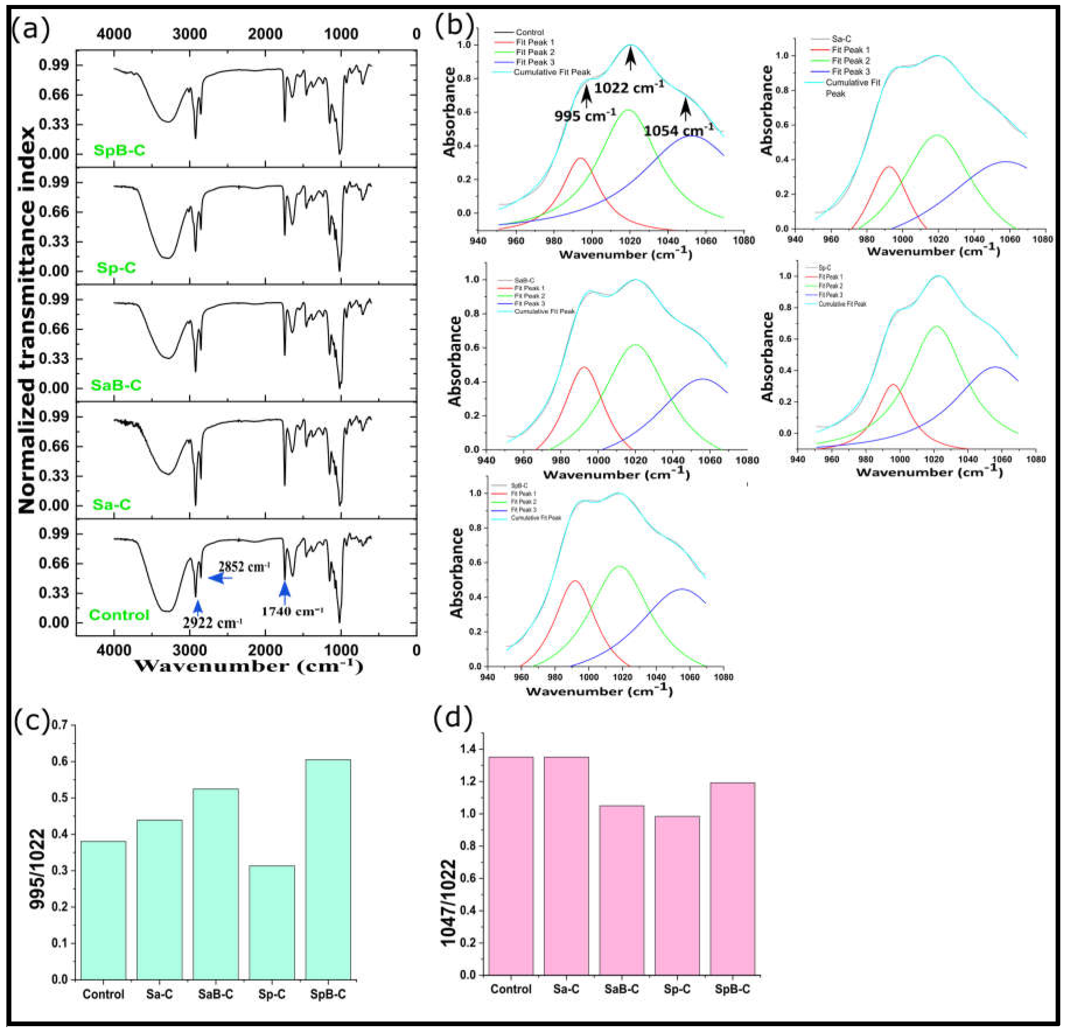 Applsci 13 01063 g008