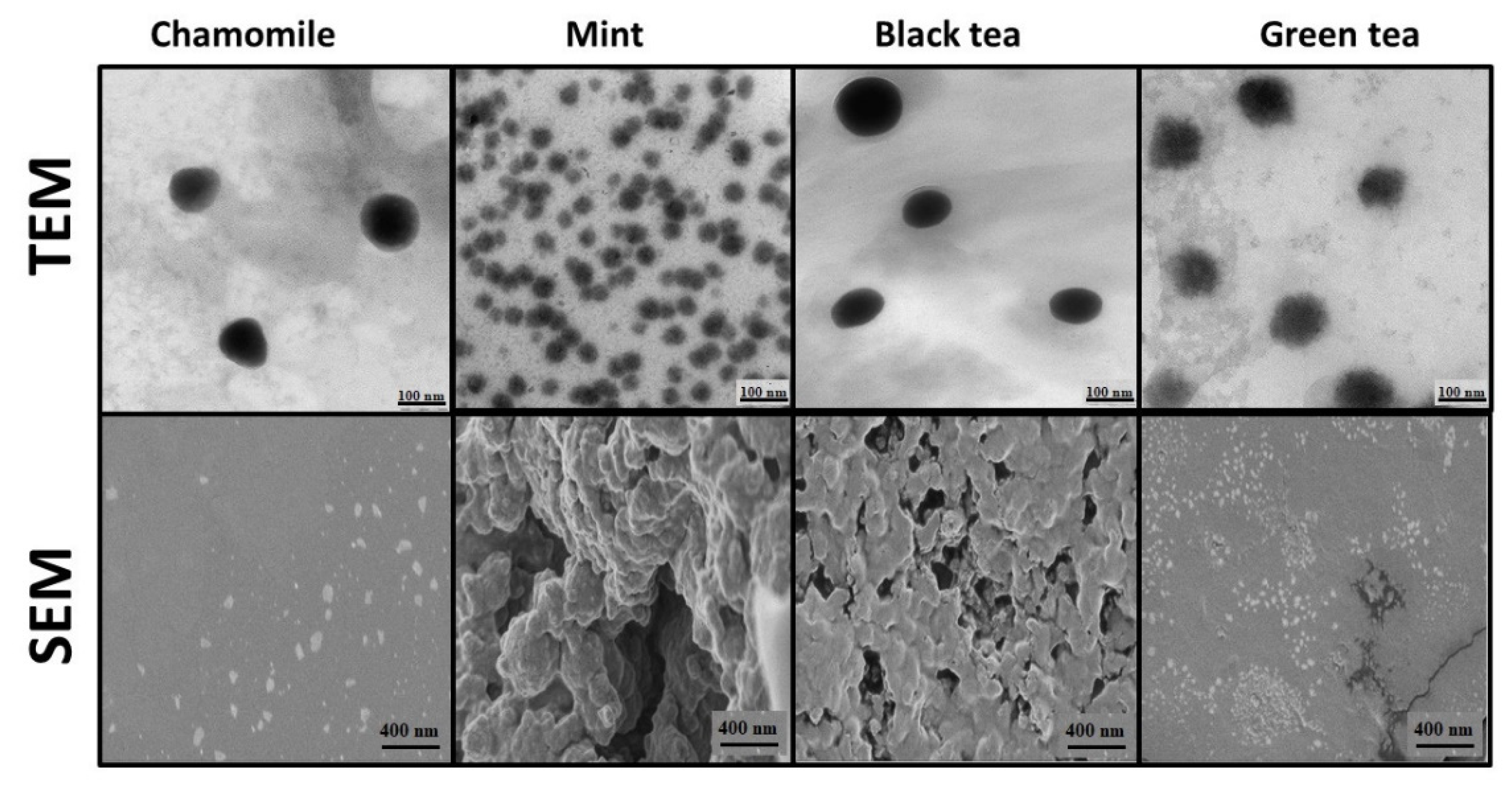 Applsci 13 01071 g003 Applsci 13 01071 g003