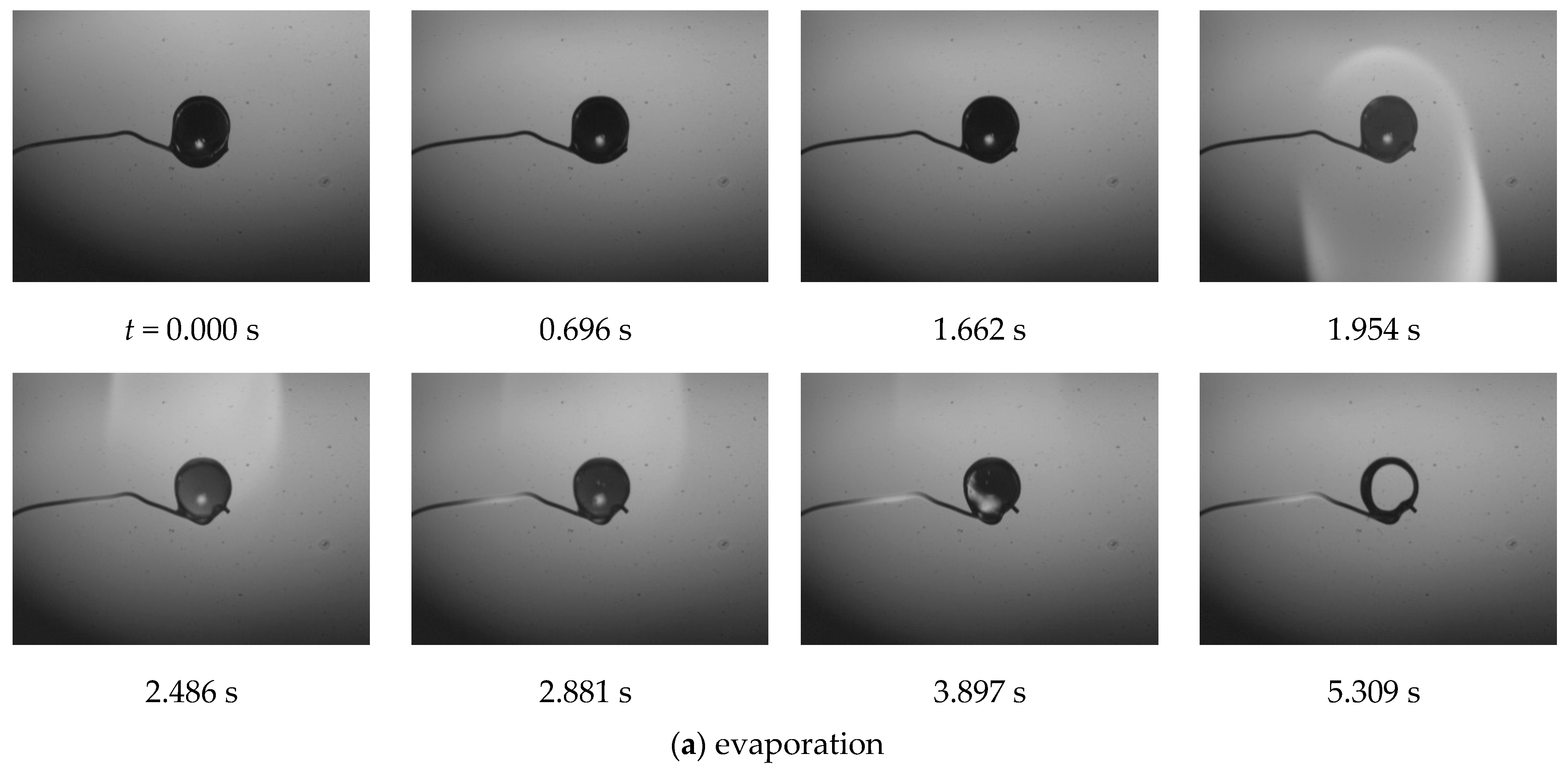 Applsci 13 01072 g003a Applsci 13 01072 g003a