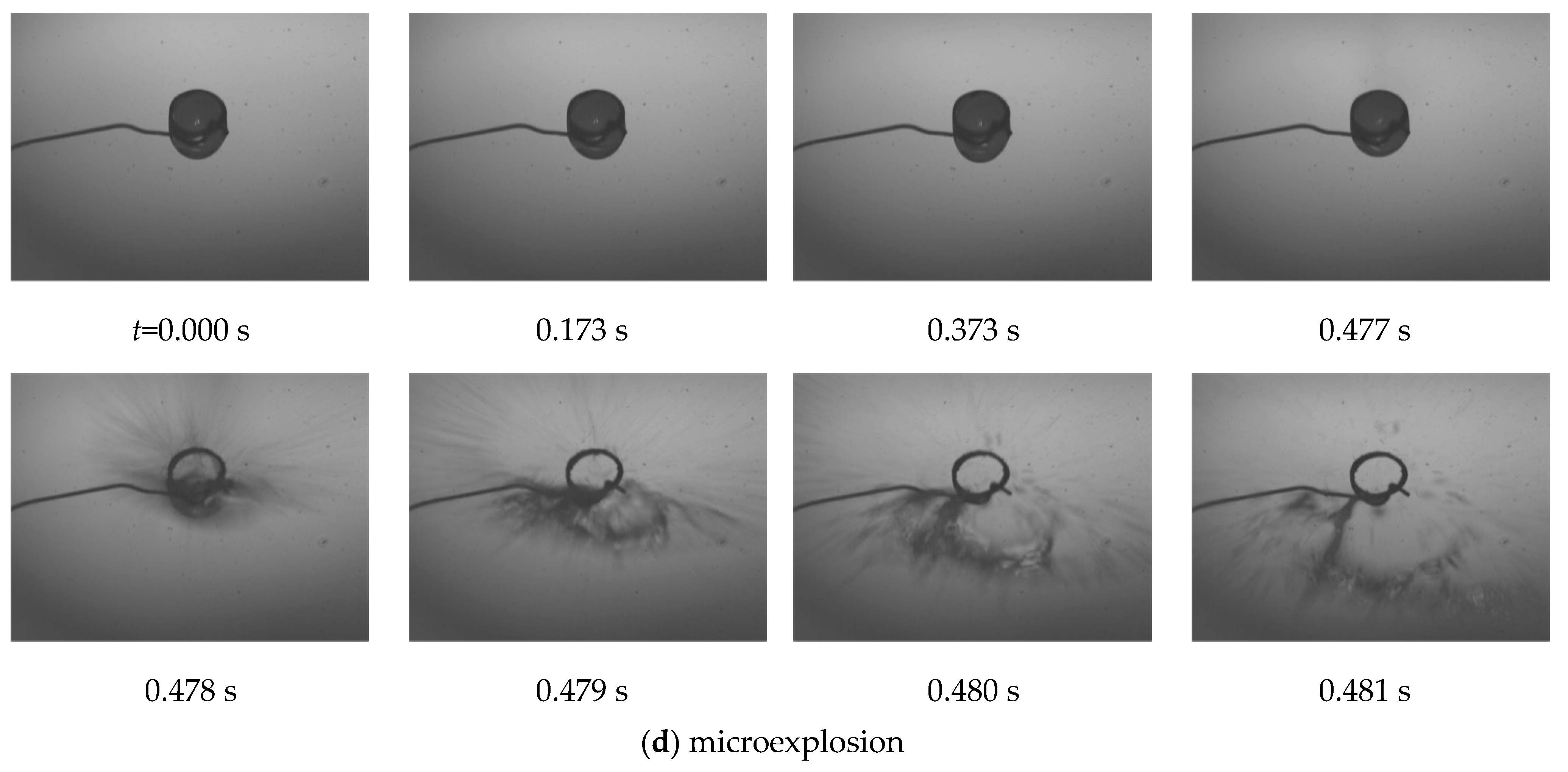 Applsci 13 01072 g003c Applsci 13 01072 g003c