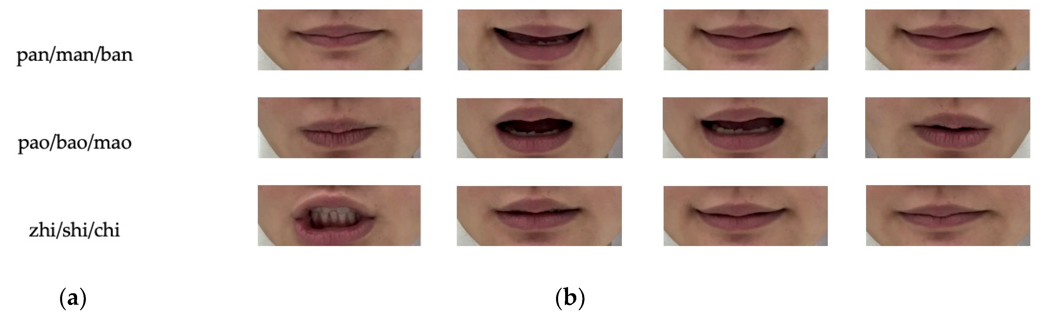 Applsci 13 01106 g011 Applsci 13 01106 g011