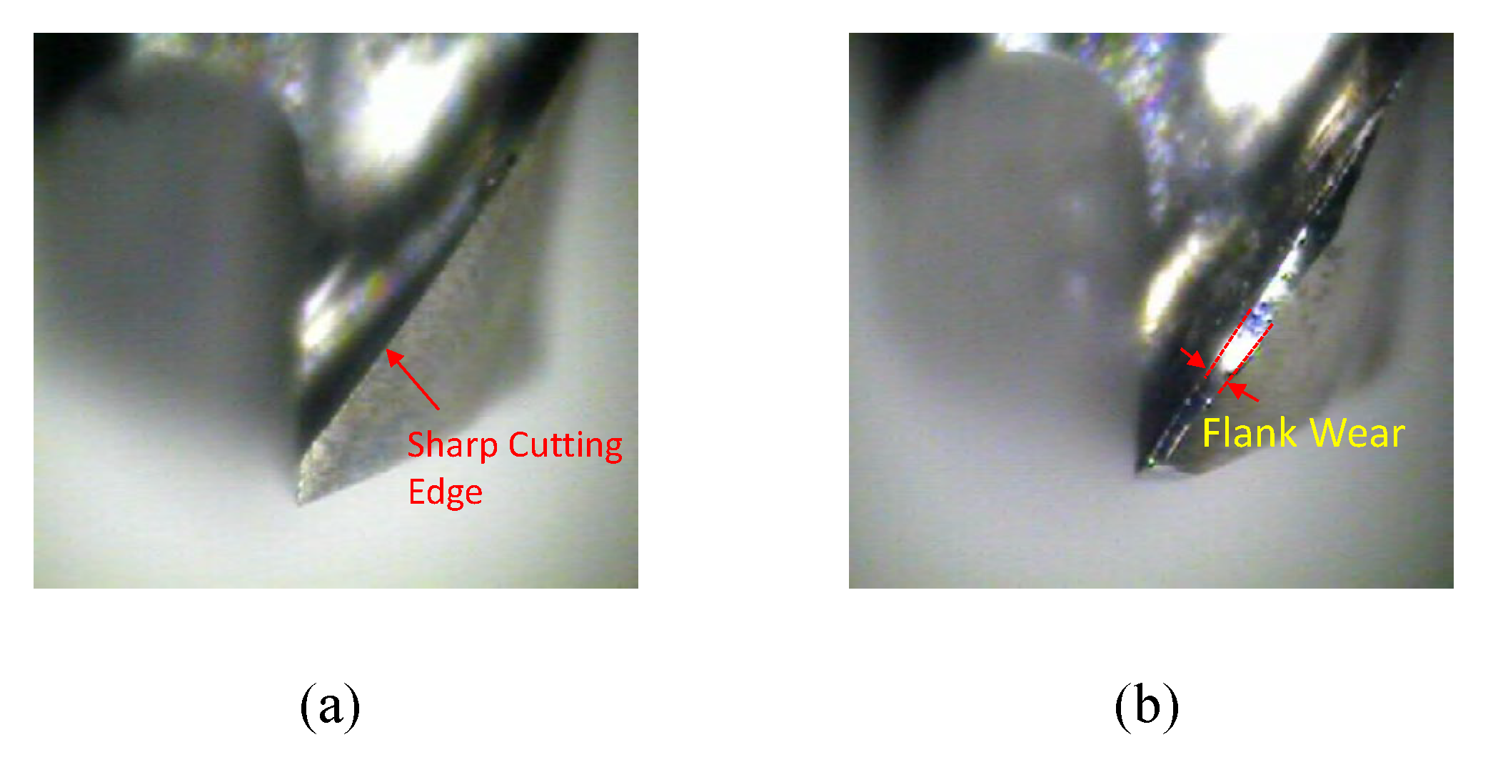 Applsci 13 01107 g005 Applsci 13 01107 g005