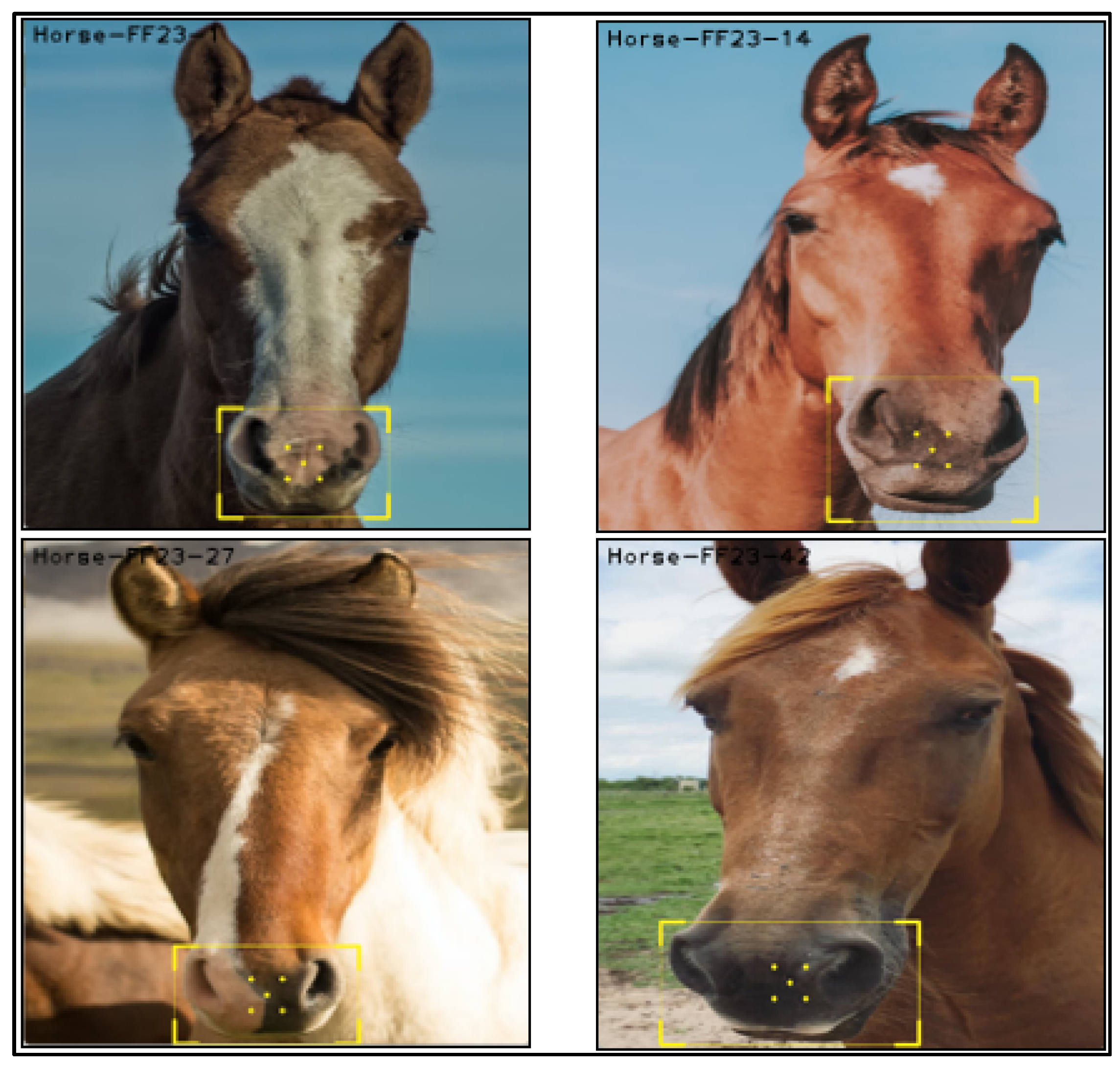 Applsci 13 01178 g013