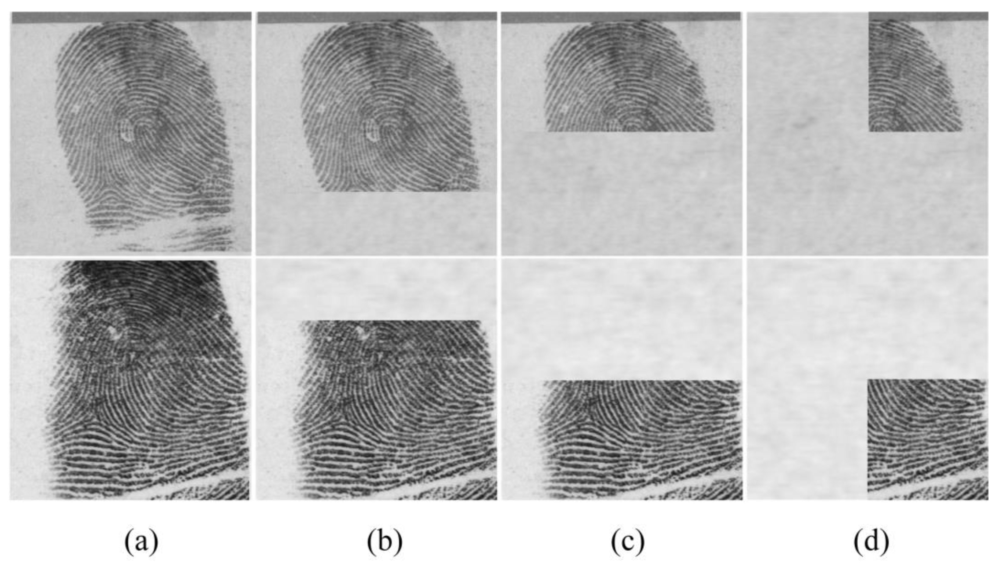 Applsci 13 01188 g004