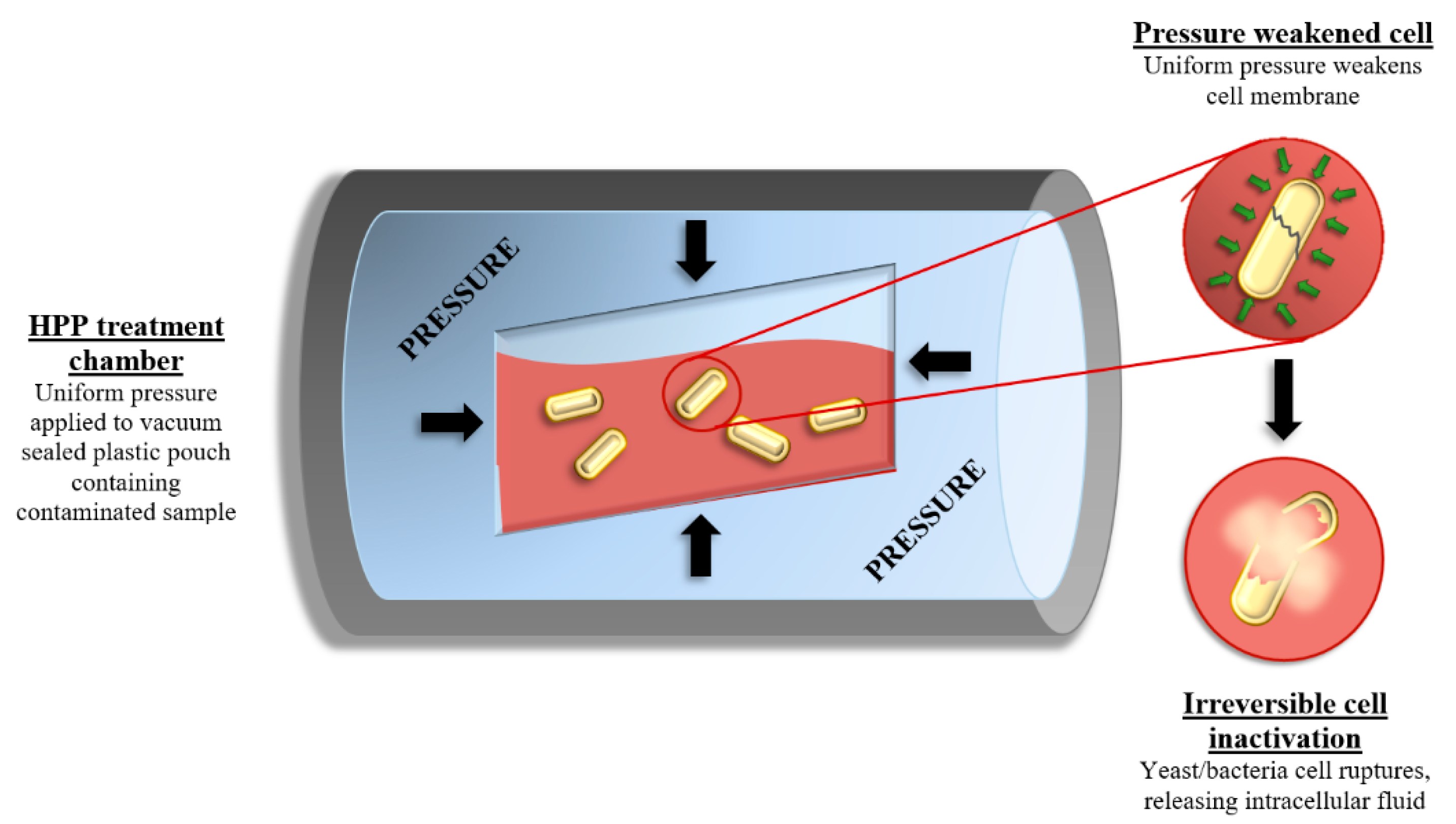 Applsci 13 01193 g002