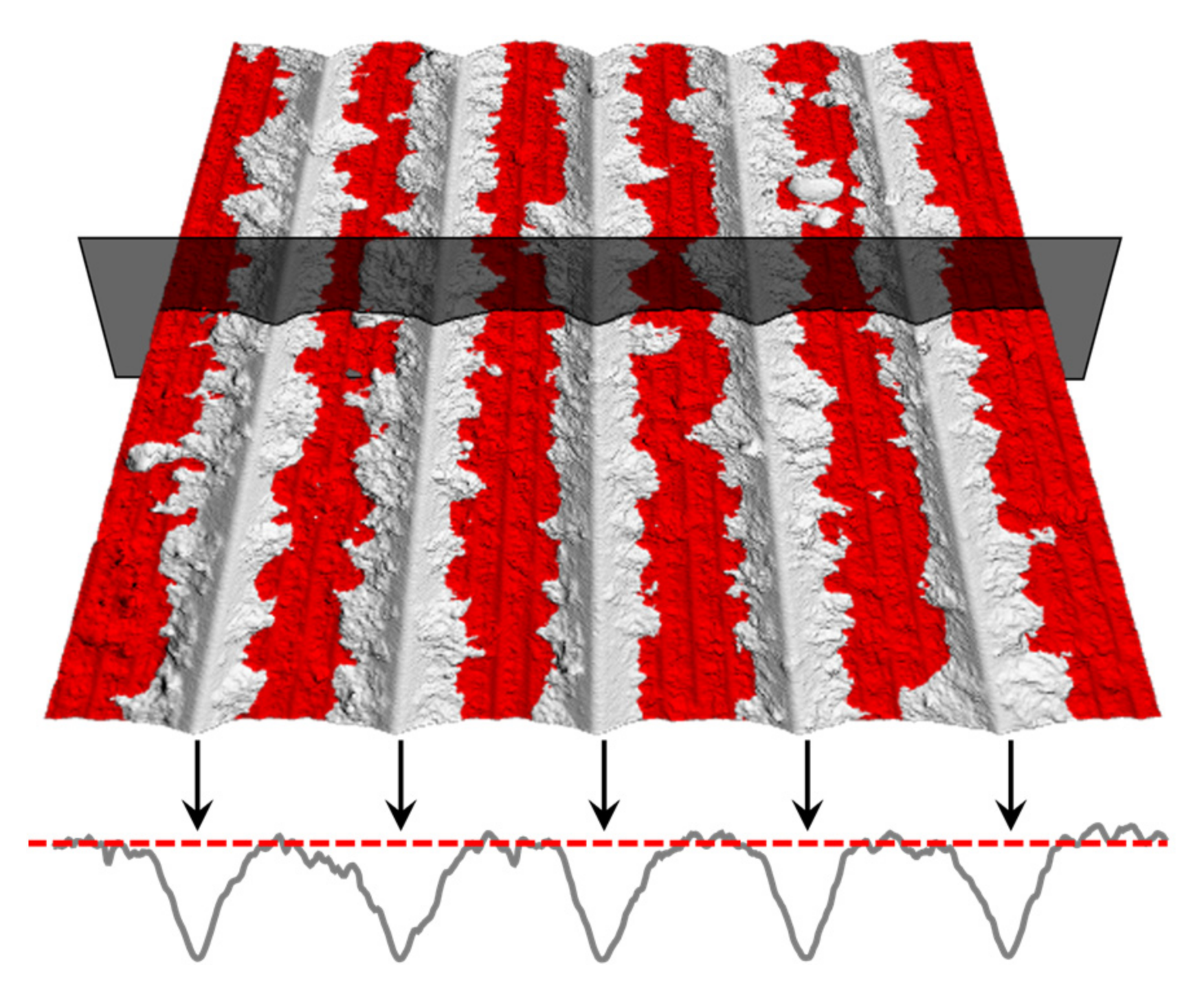 Applsci 13 01205 g013 550