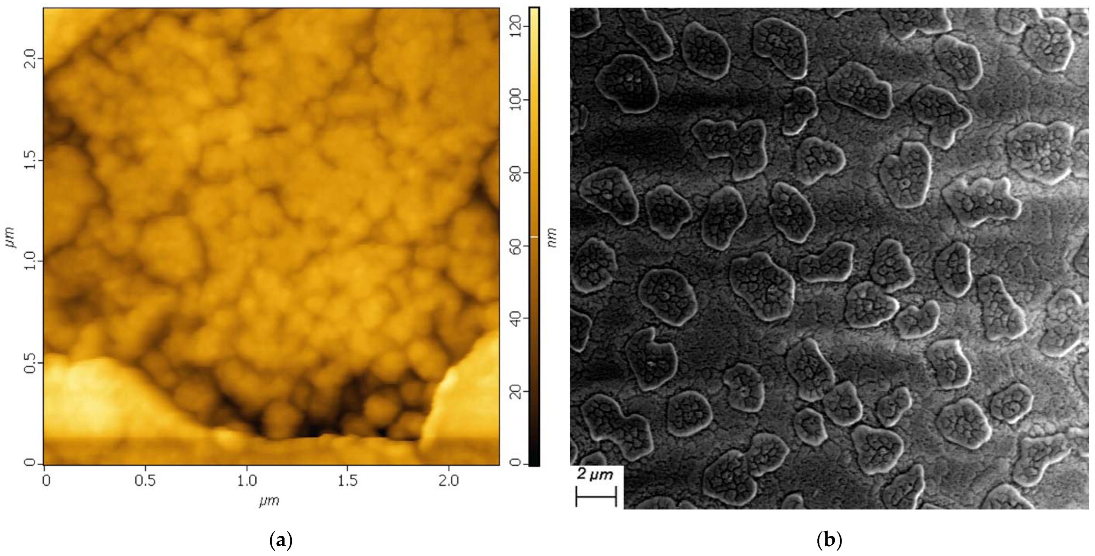 Applsci 13 01211 g003 Applsci 13 01211 g003