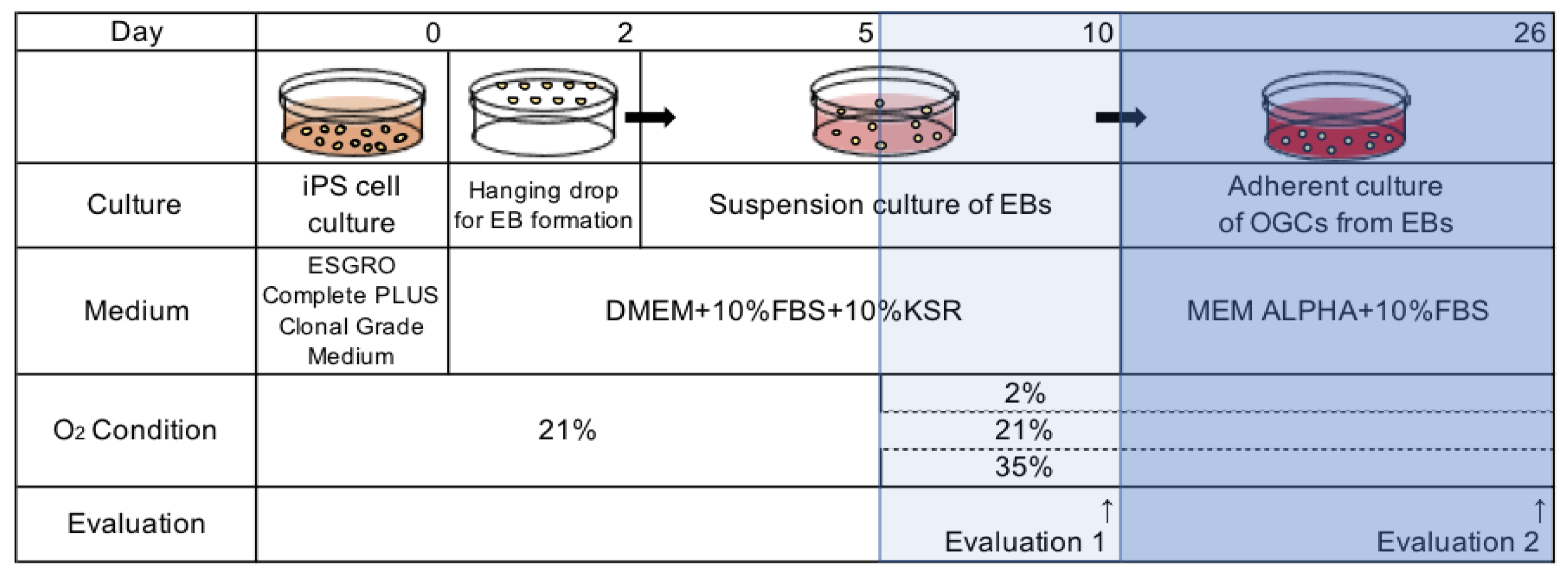Applsci 13 01215 g001 Applsci 13 01215 g001