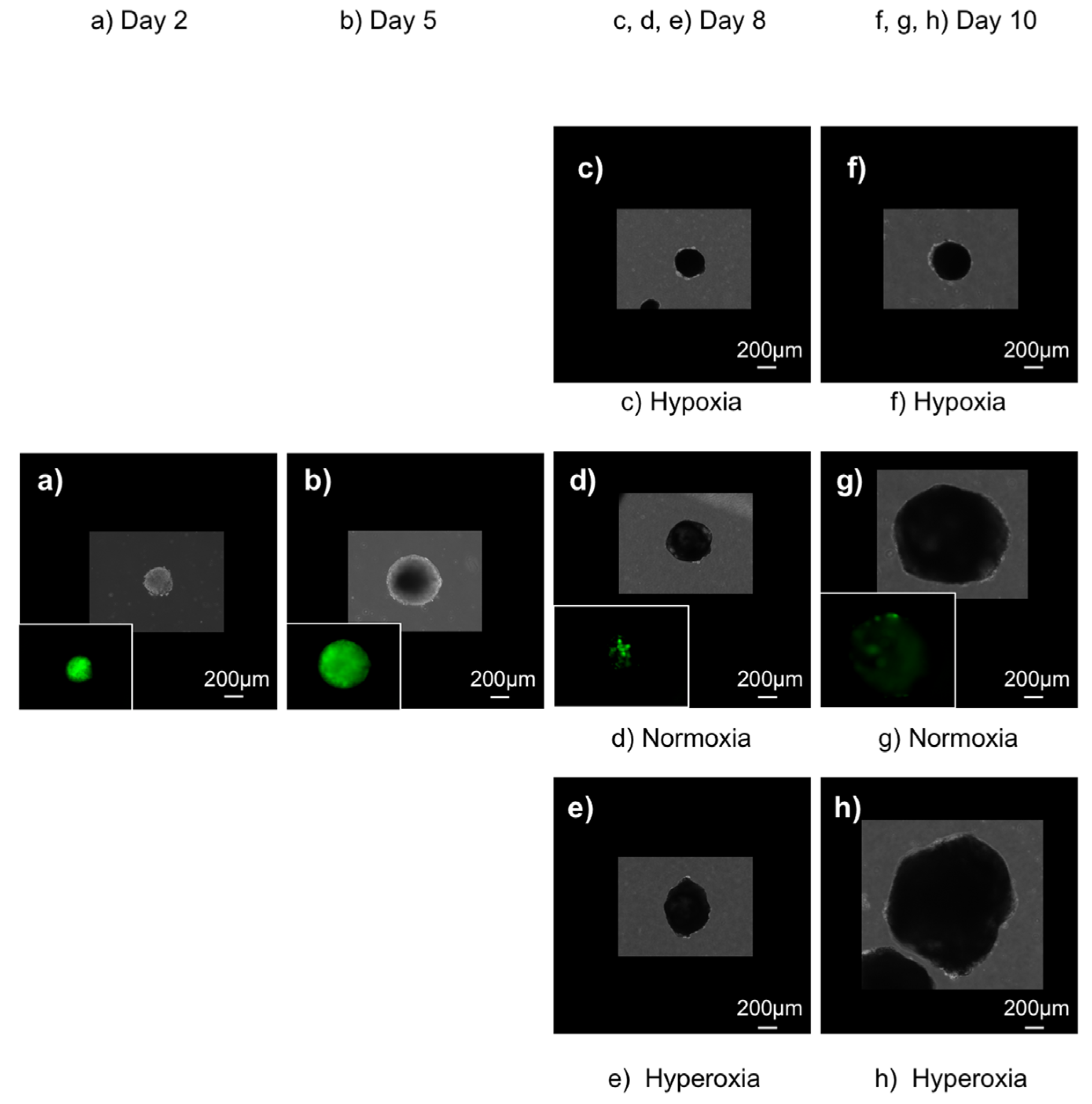 Applsci 13 01215 g002 Applsci 13 01215 g002