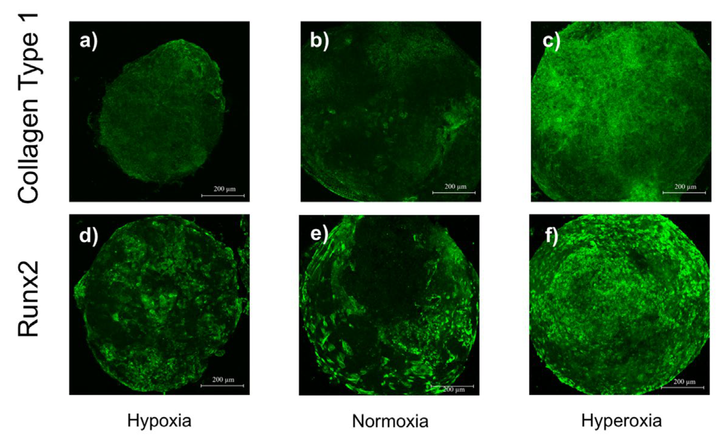 Applsci 13 01215 g005 Applsci 13 01215 g005