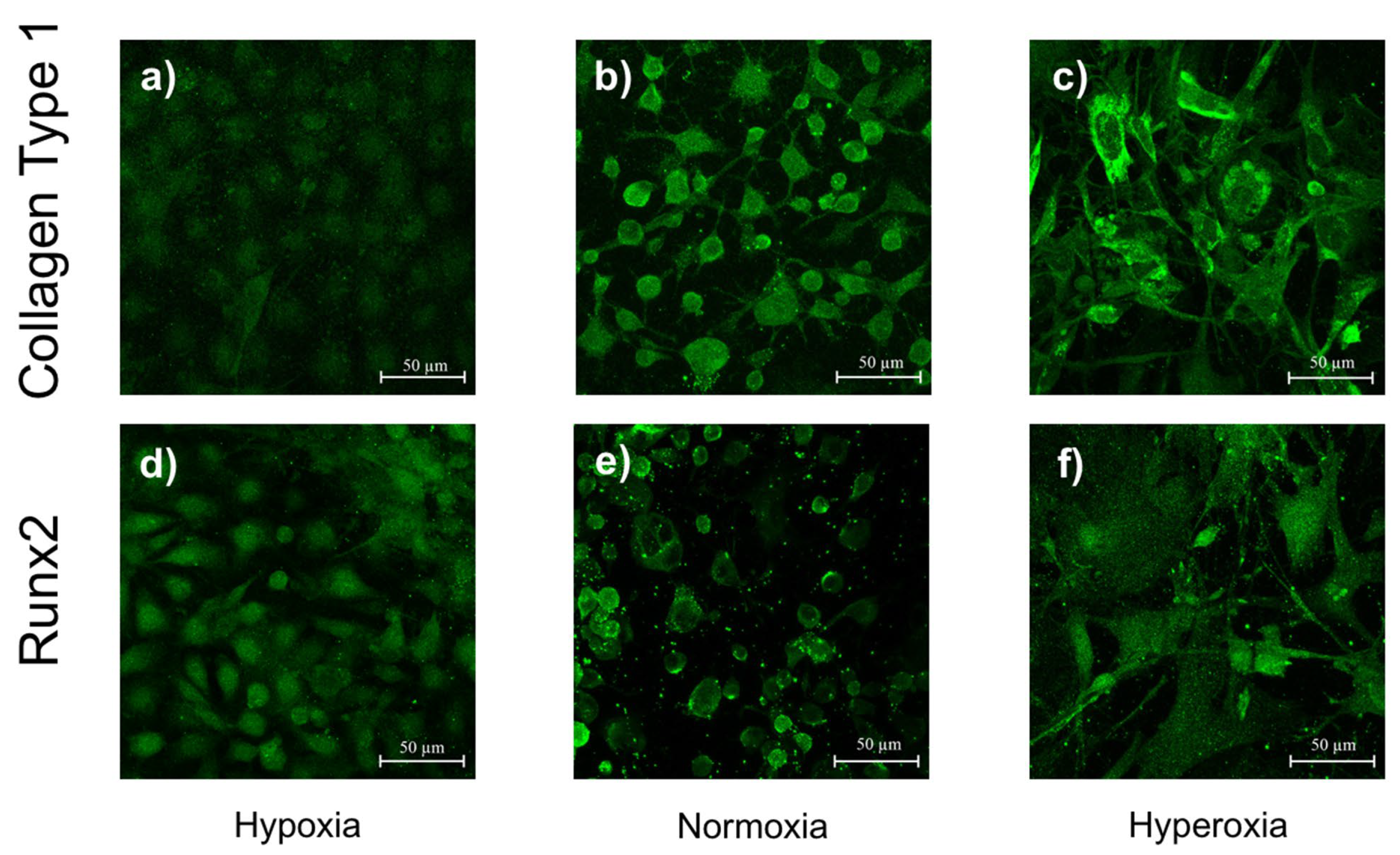 Applsci 13 01215 g008 Applsci 13 01215 g008