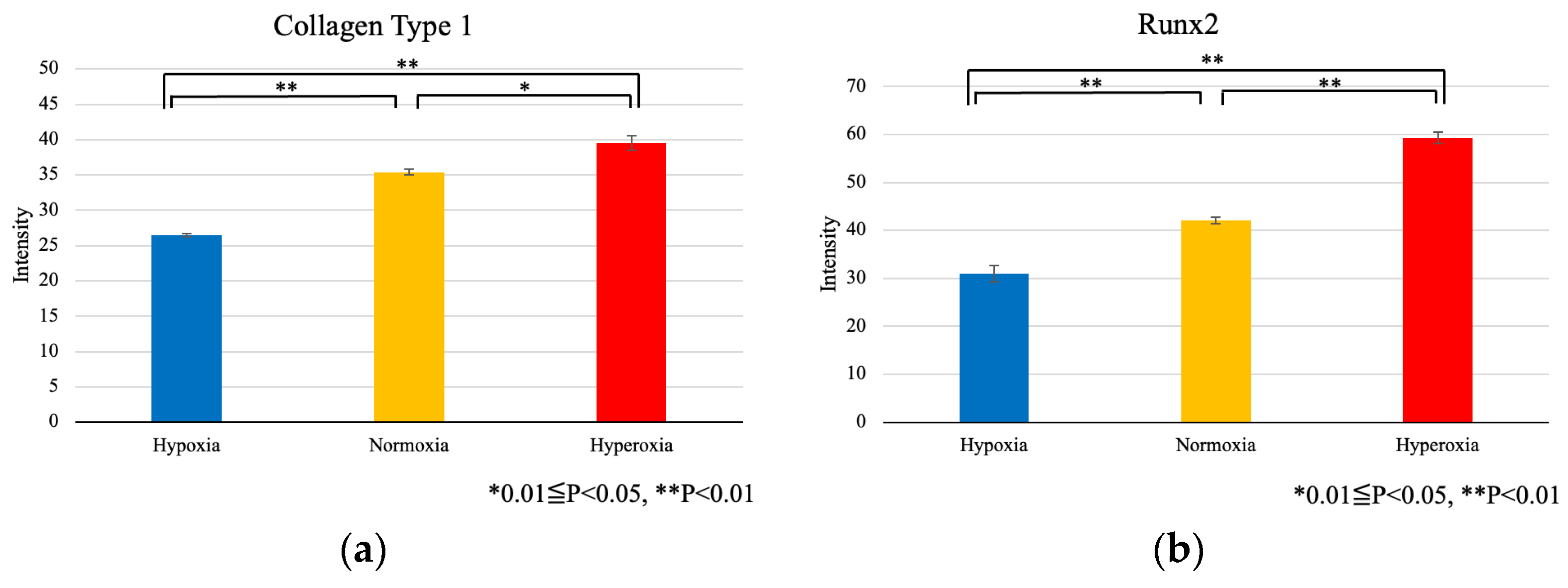 Applsci 13 01215 g009 Applsci 13 01215 g009