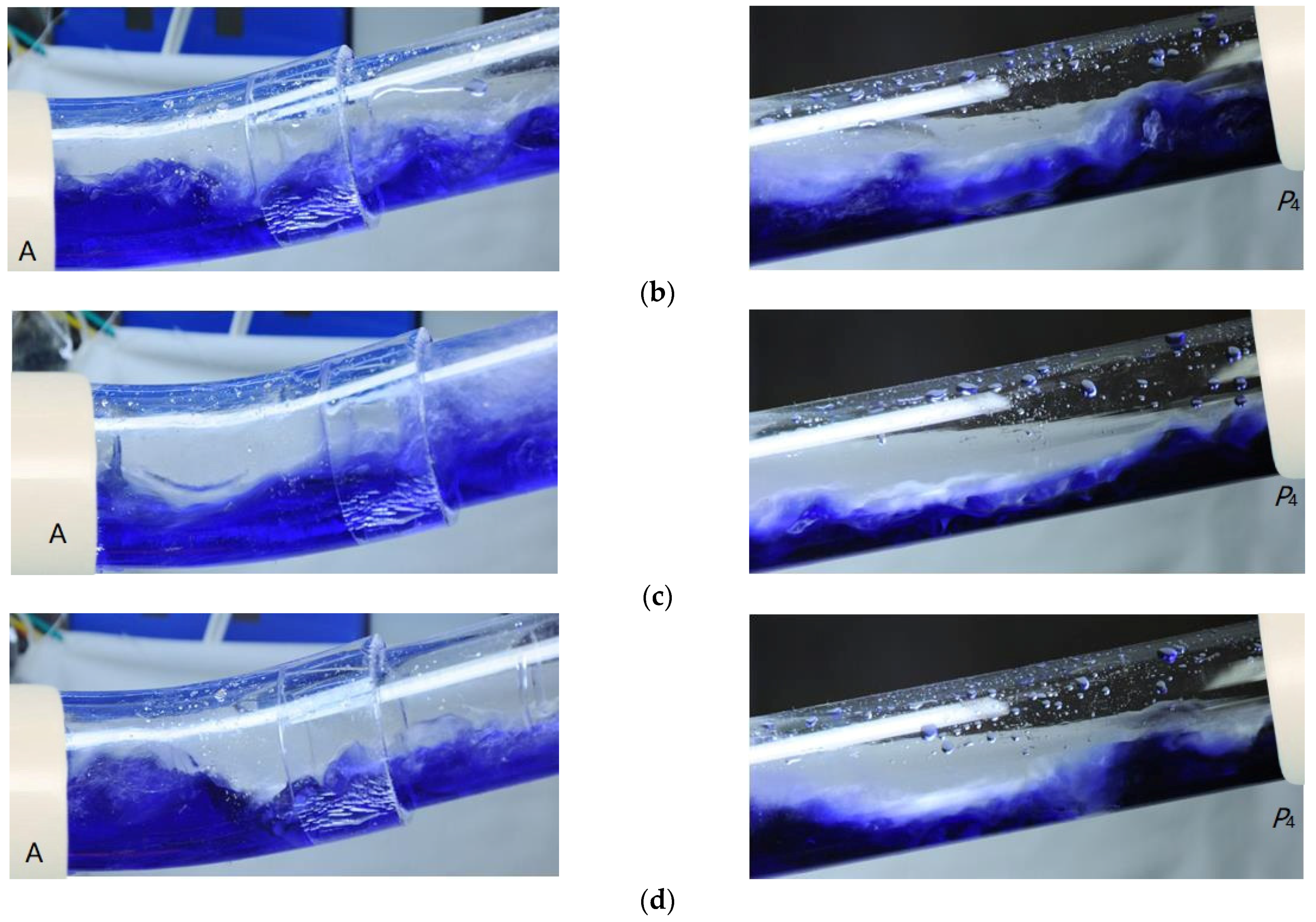 Applsci 13 01216 g012b Applsci 13 01216 g012b