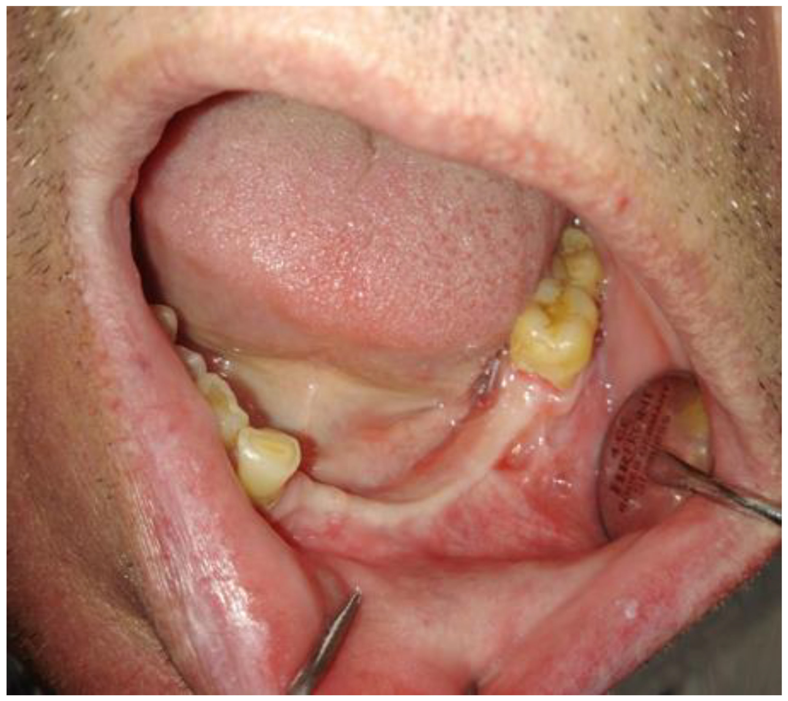 Applsci 13 01234 g007