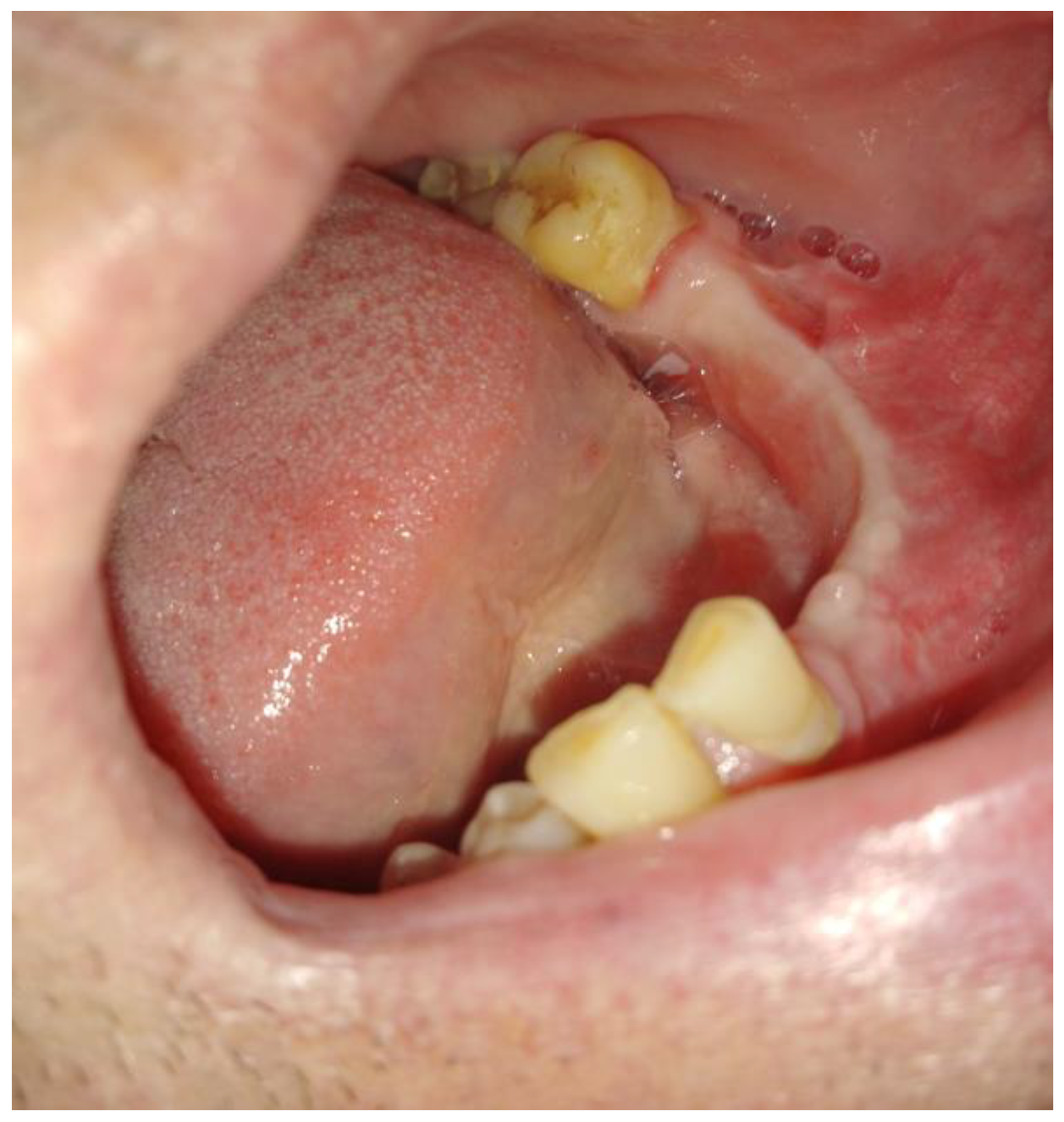 Applsci 13 01234 g008