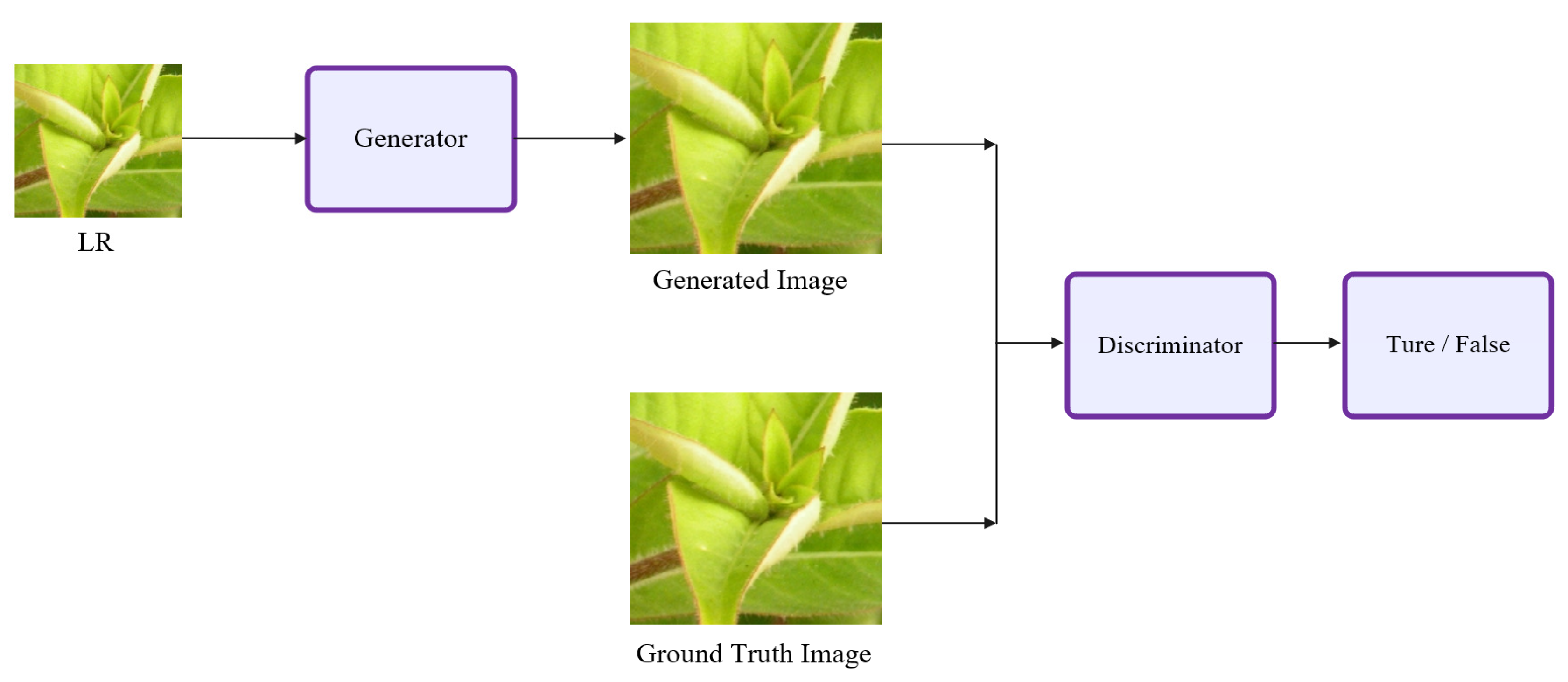 Applsci 13 01245 g001 Applsci 13 01245 g001