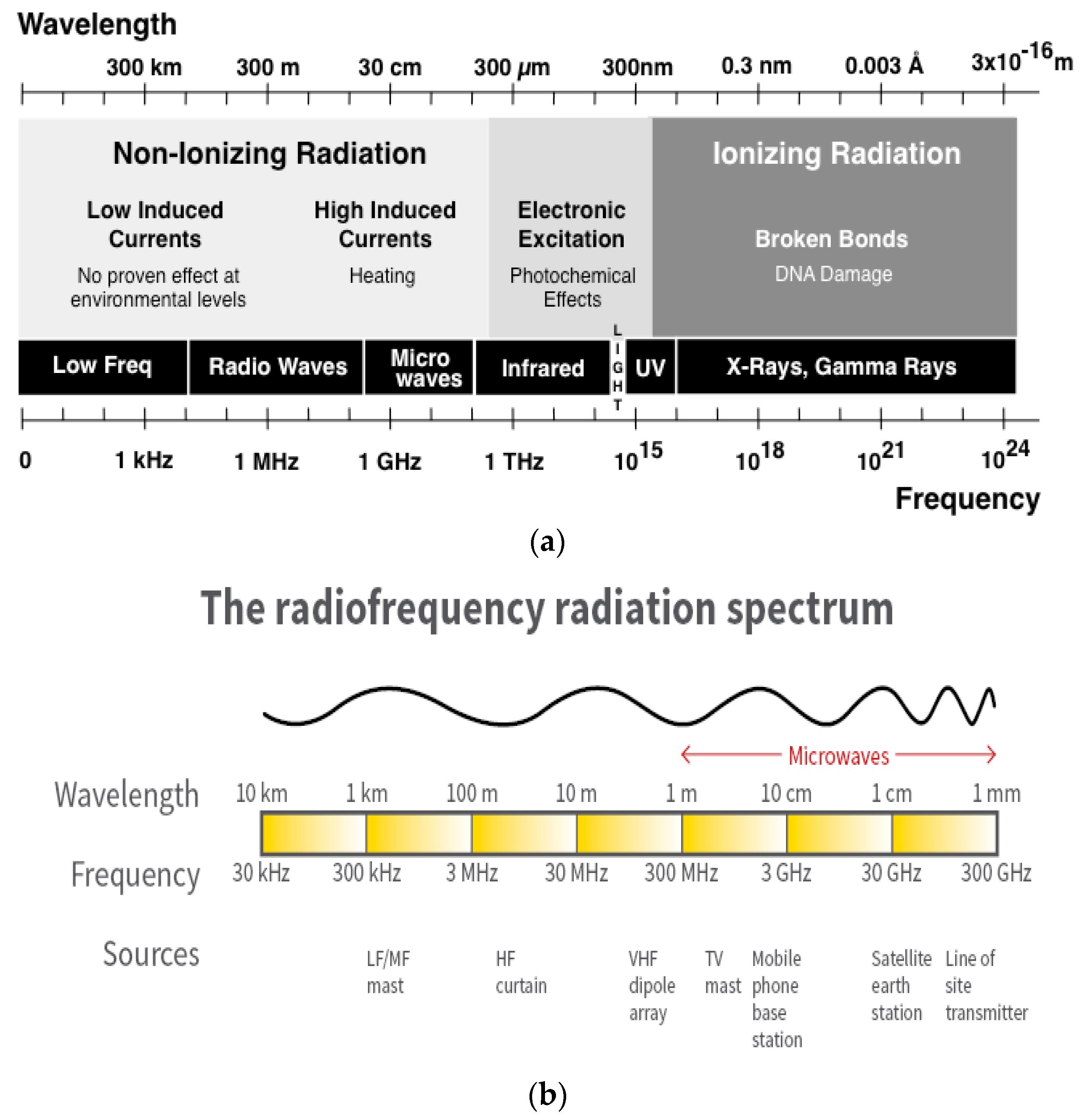 Applsci 13 01265 g001 Applsci 13 01265 g001