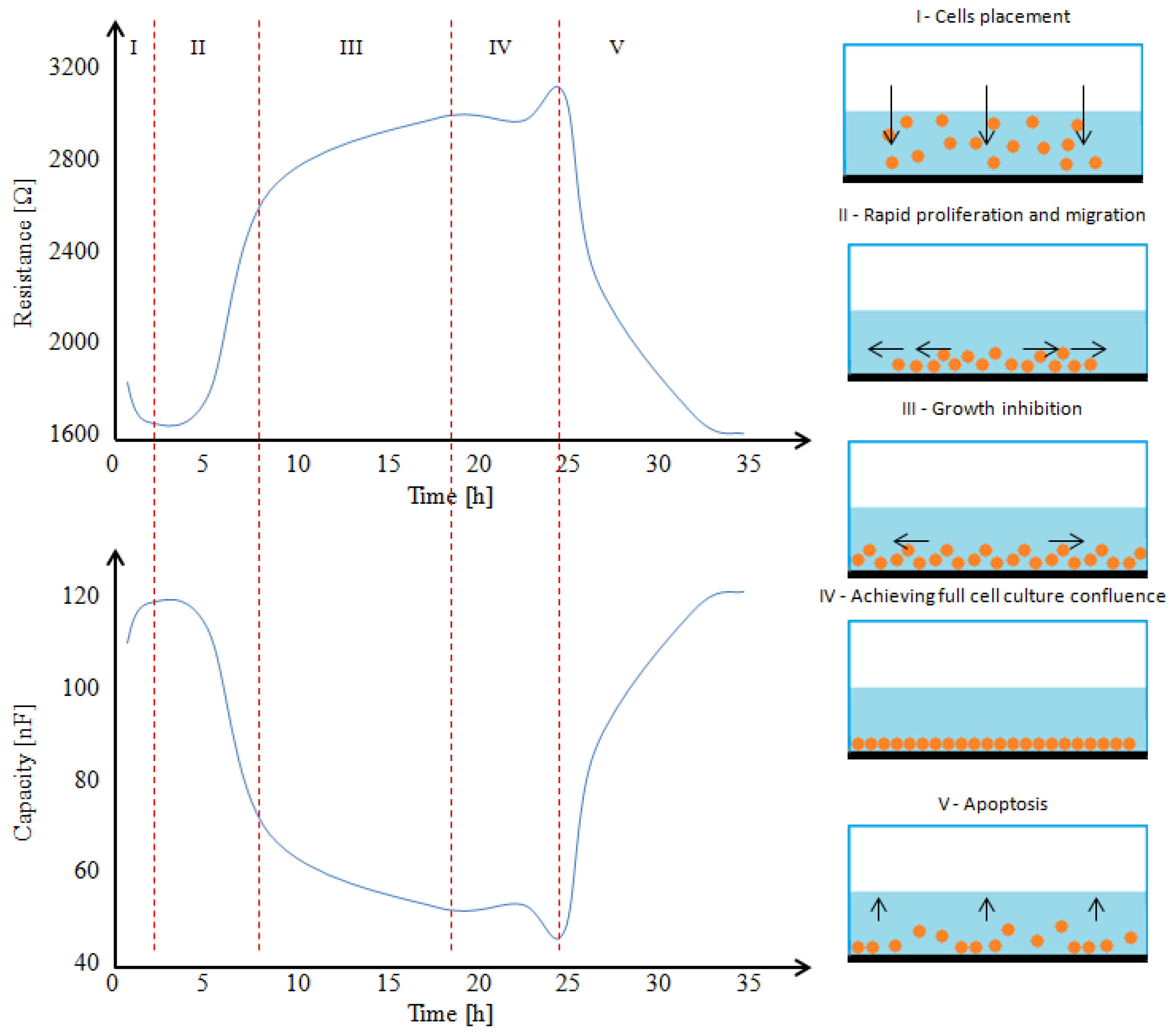 Applsci 13 01267 g001