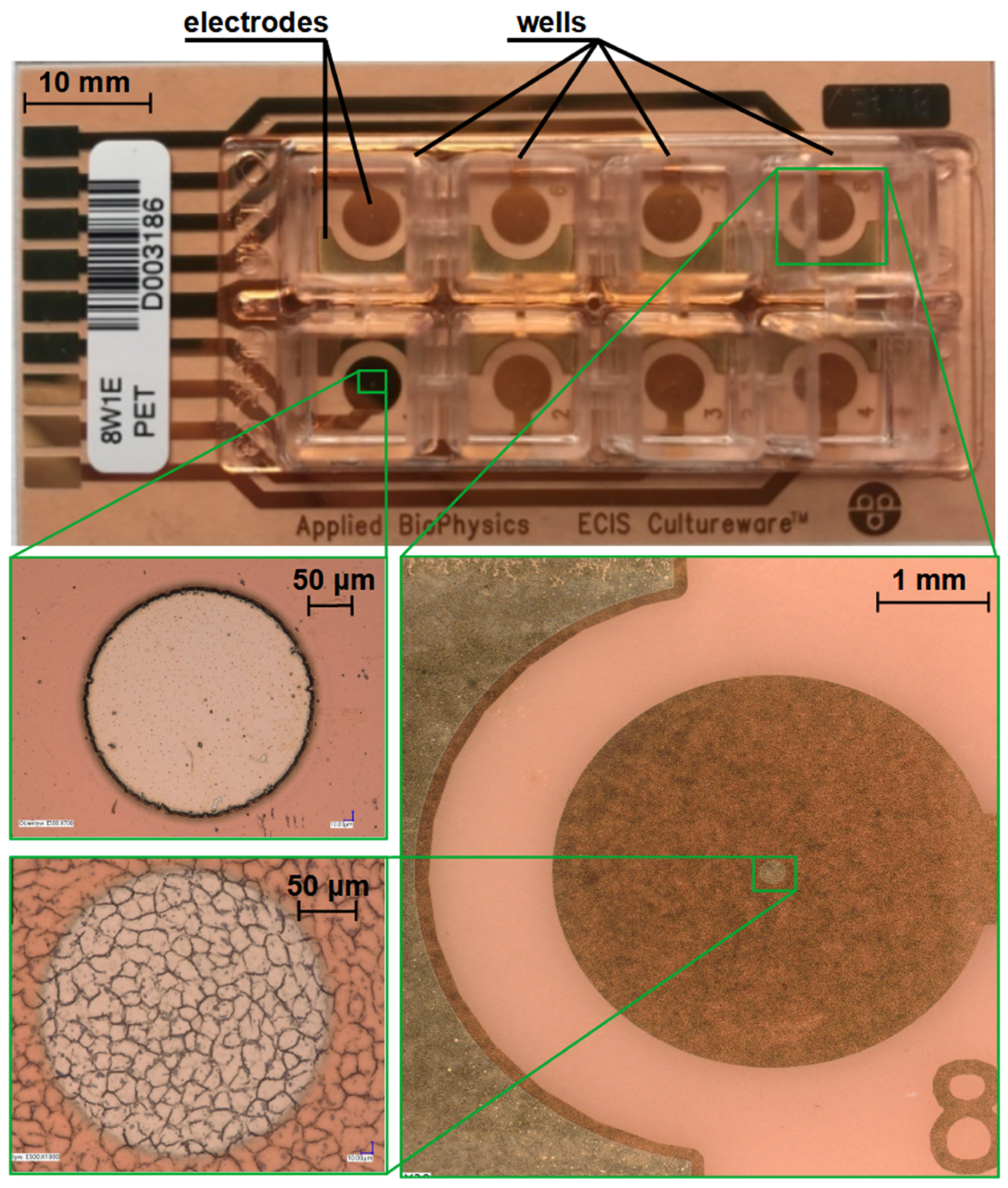 Applsci 13 01267 g008