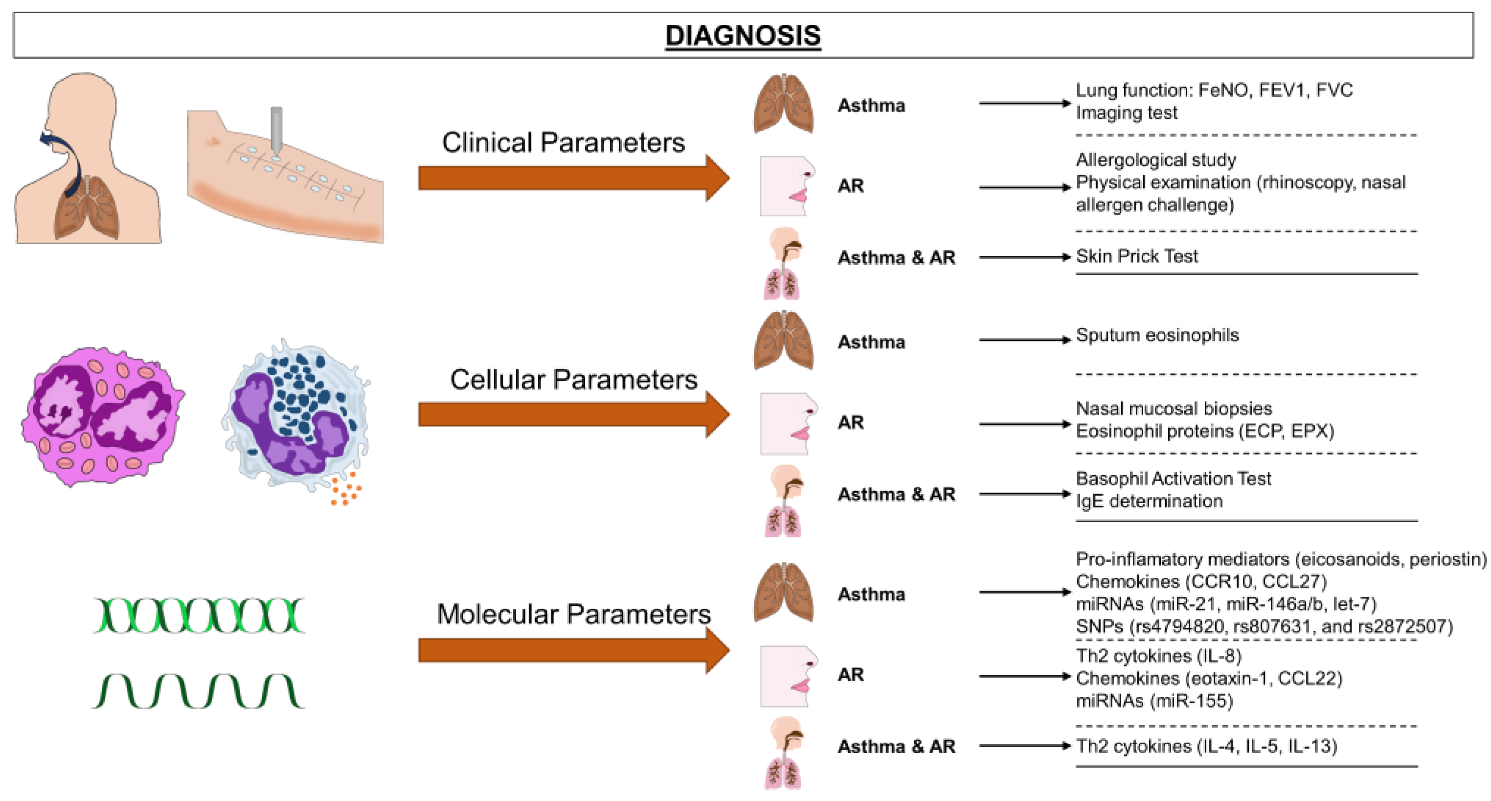 Applied Sciences Free FullText Diagnosis and Treatment in Asthma
