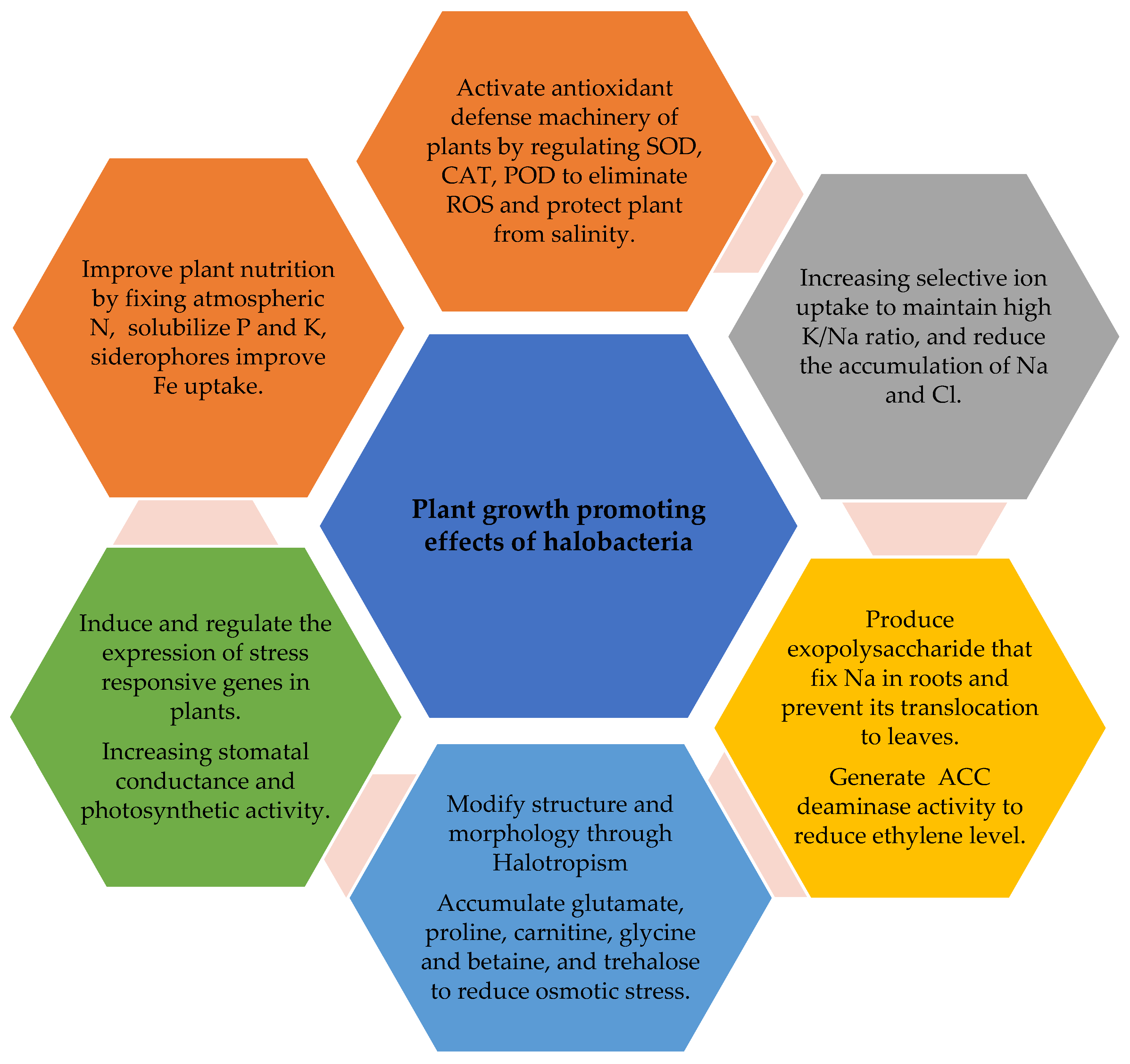 Applsci 13 01299 g001 Applsci 13 01299 g001