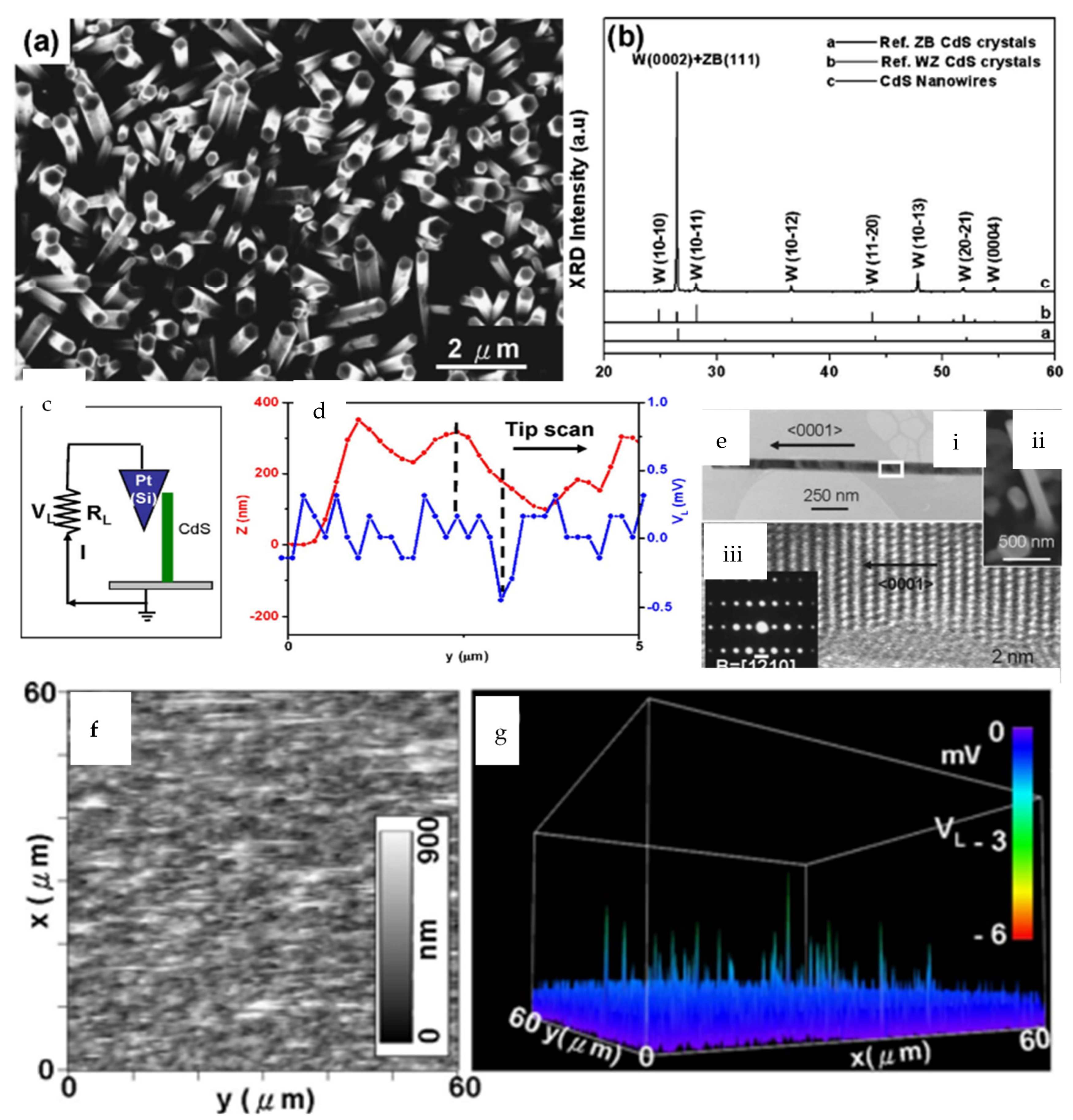 Applsci 13 01300 g006