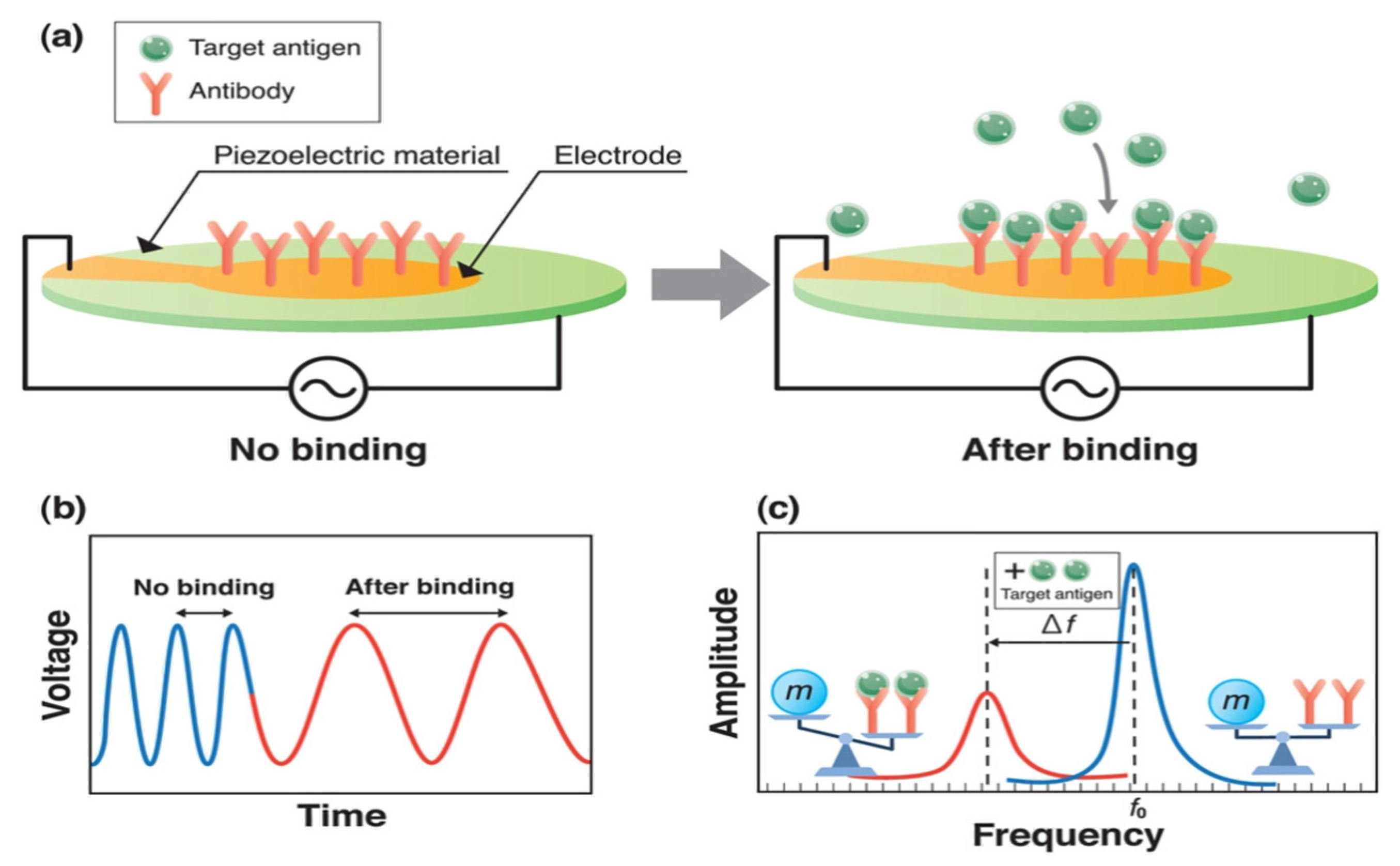 Applsci 13 01300 g028