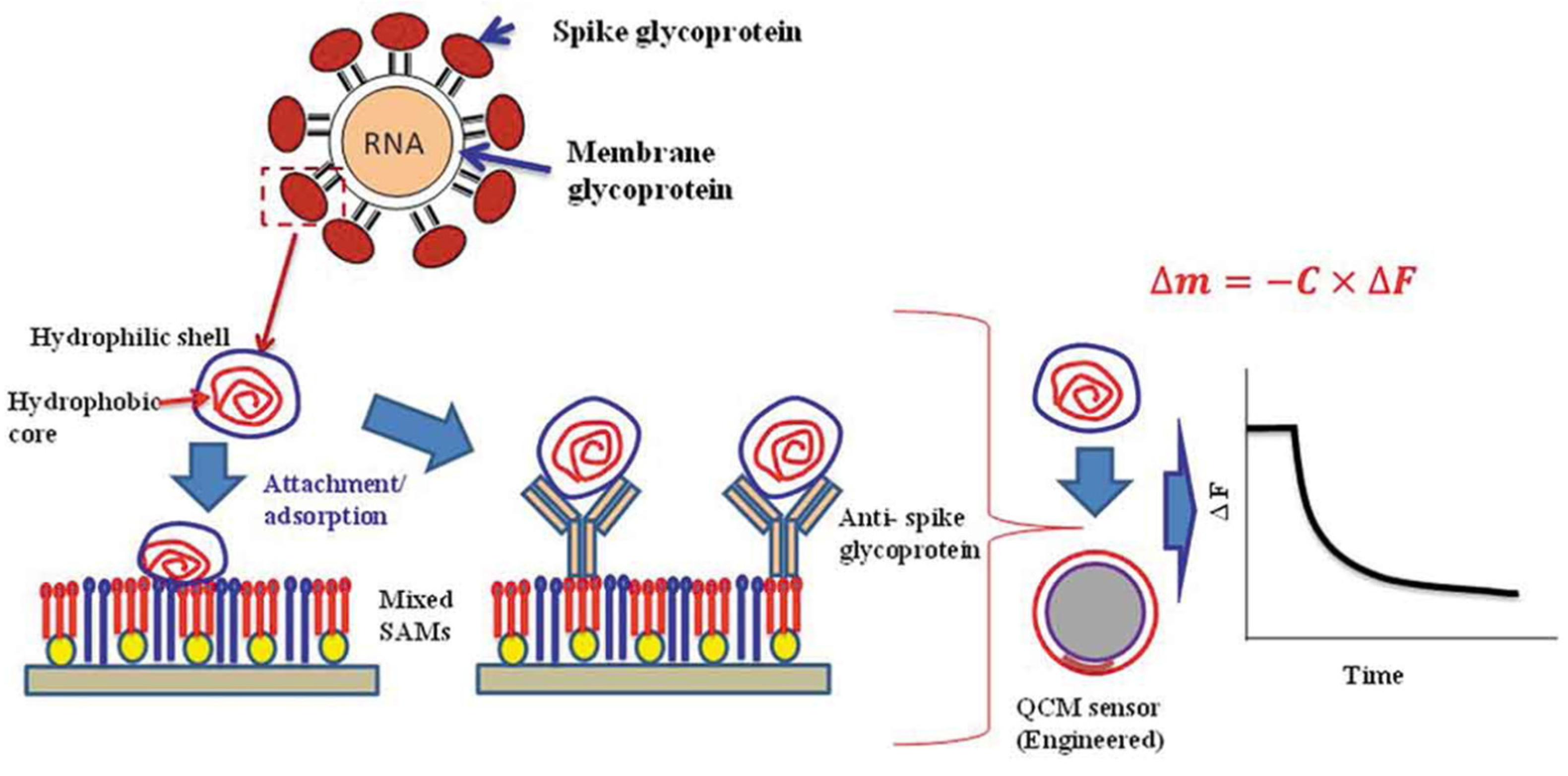 Applsci 13 01300 g031