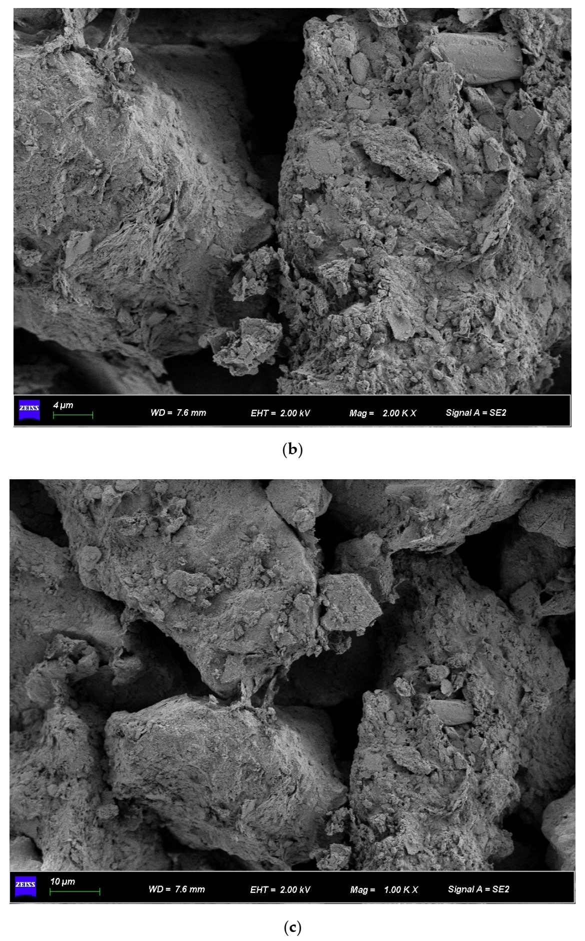 Applsci 13 01325 g010b Applsci 13 01325 g010b